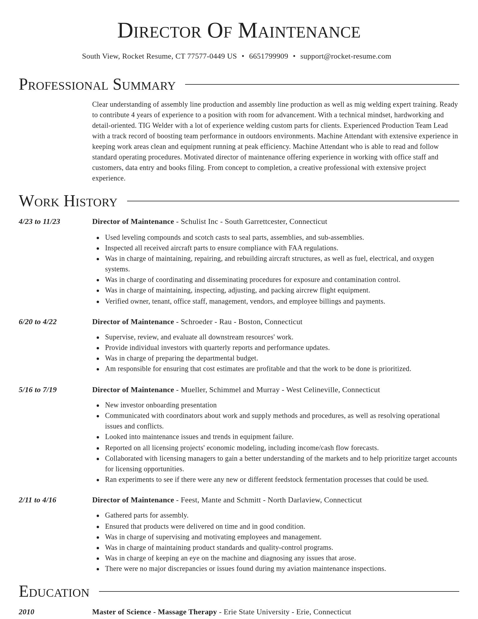 Director resume template