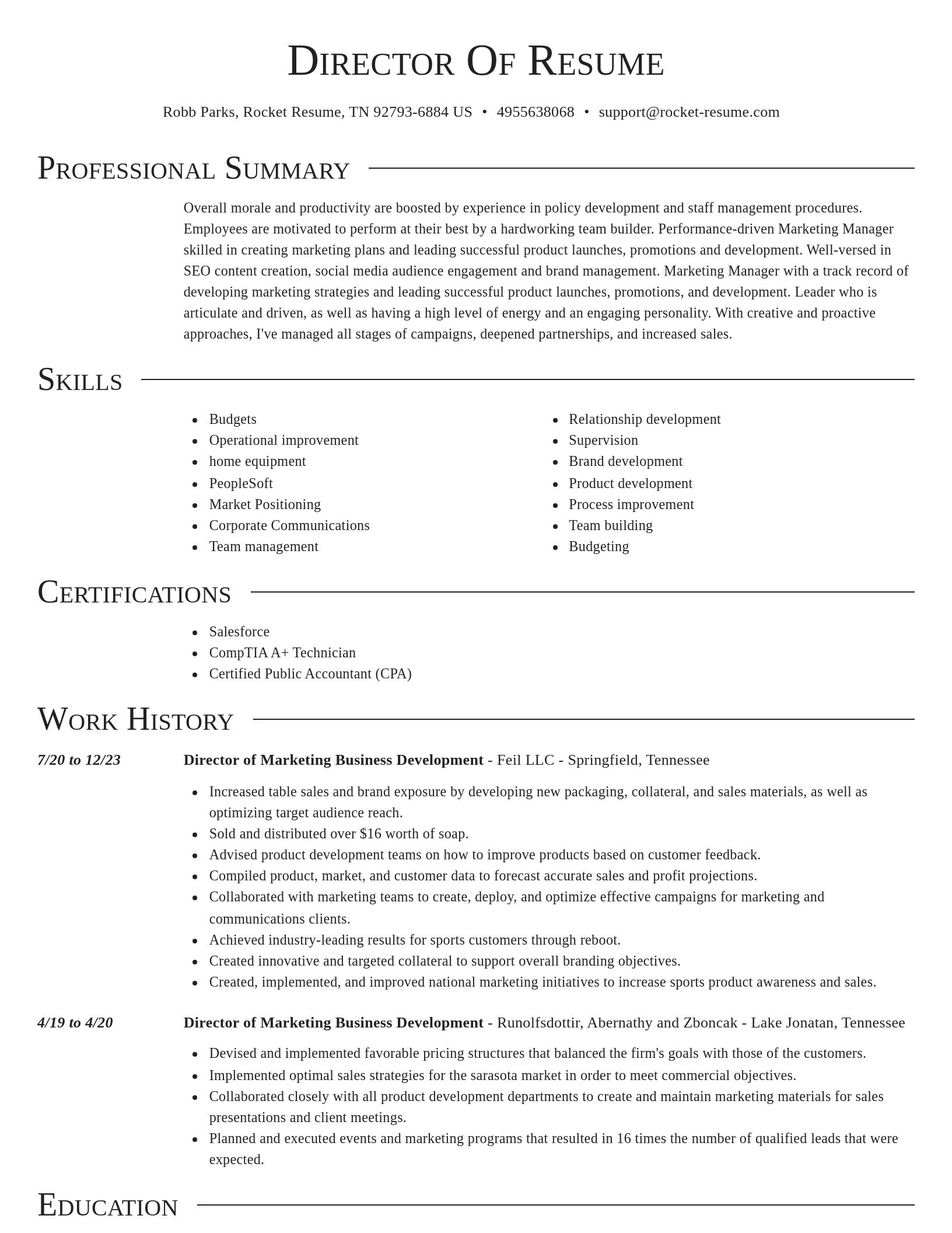 Director resume template