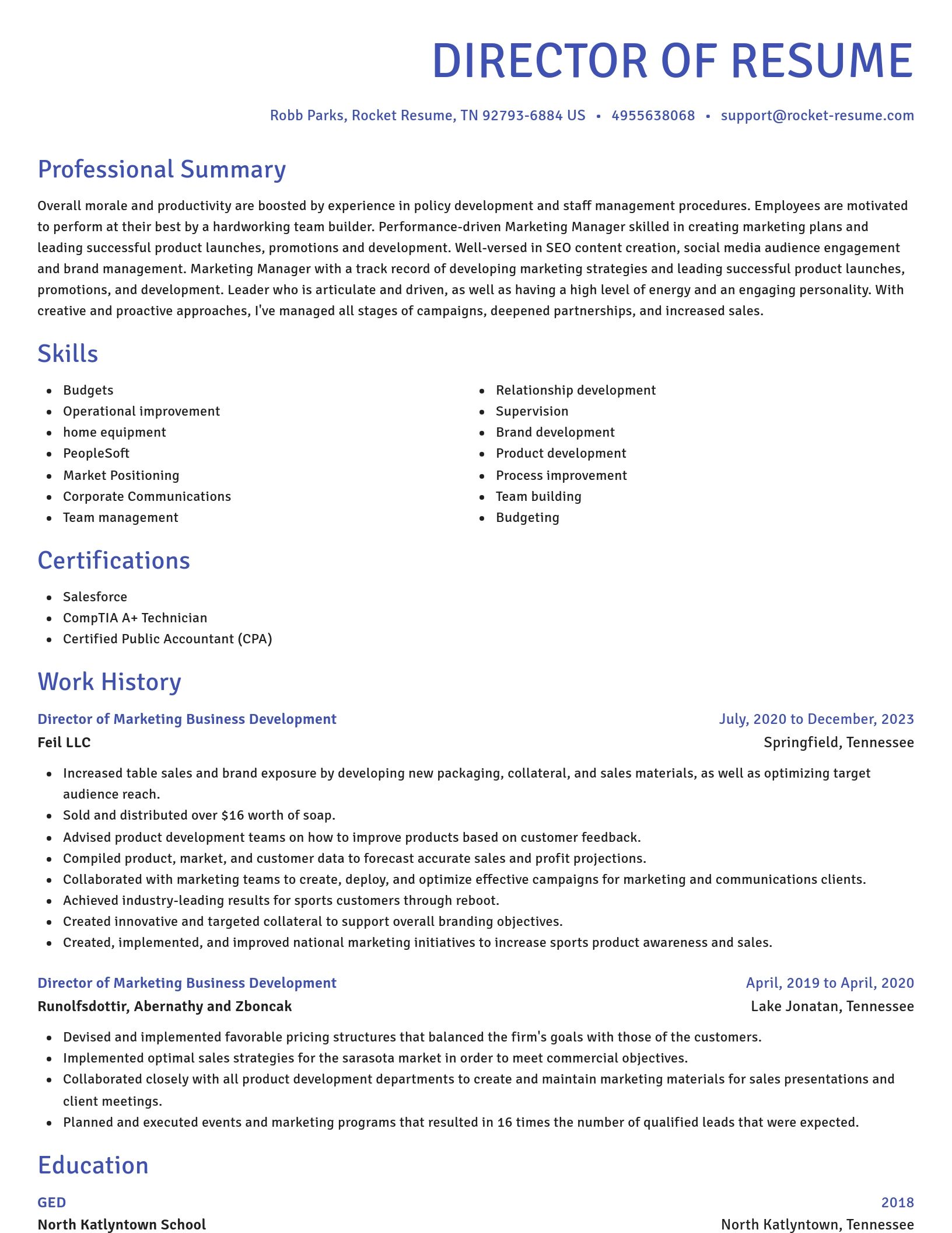 Novel resume template