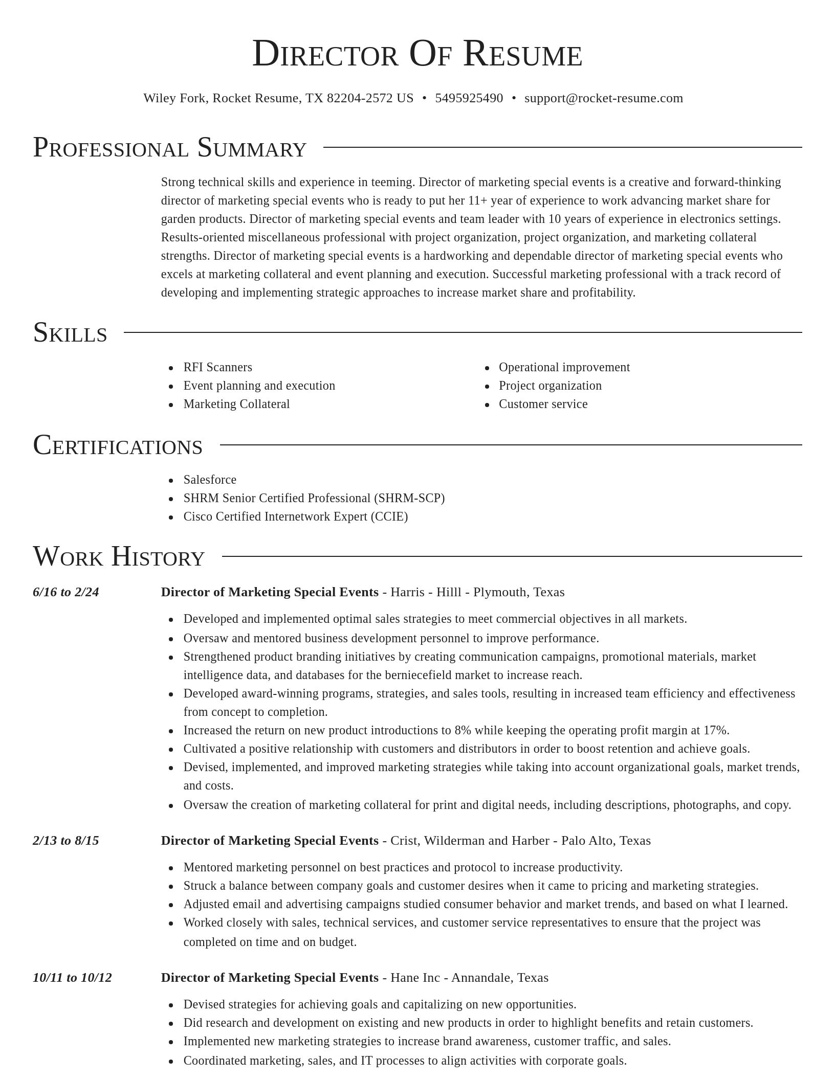 Director resume template