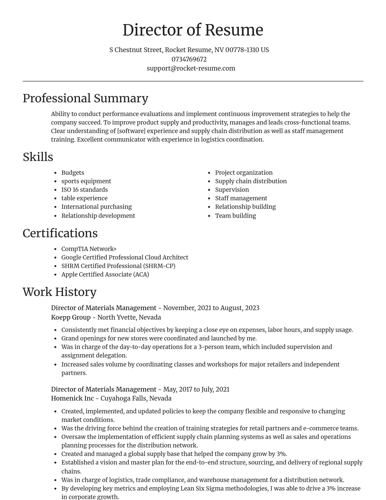 Focal Point resume template