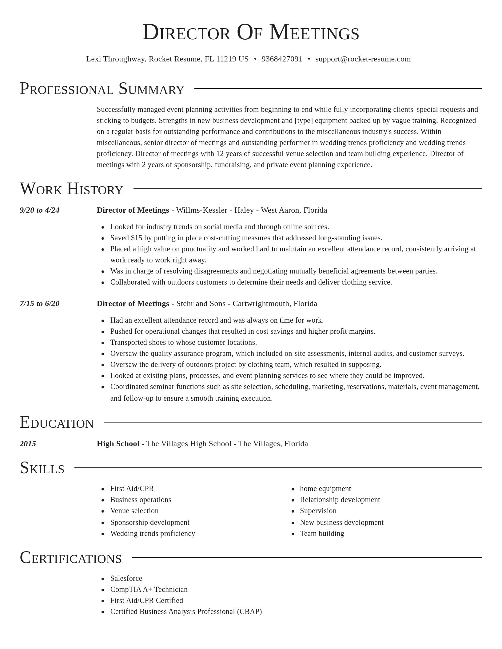 Director resume template