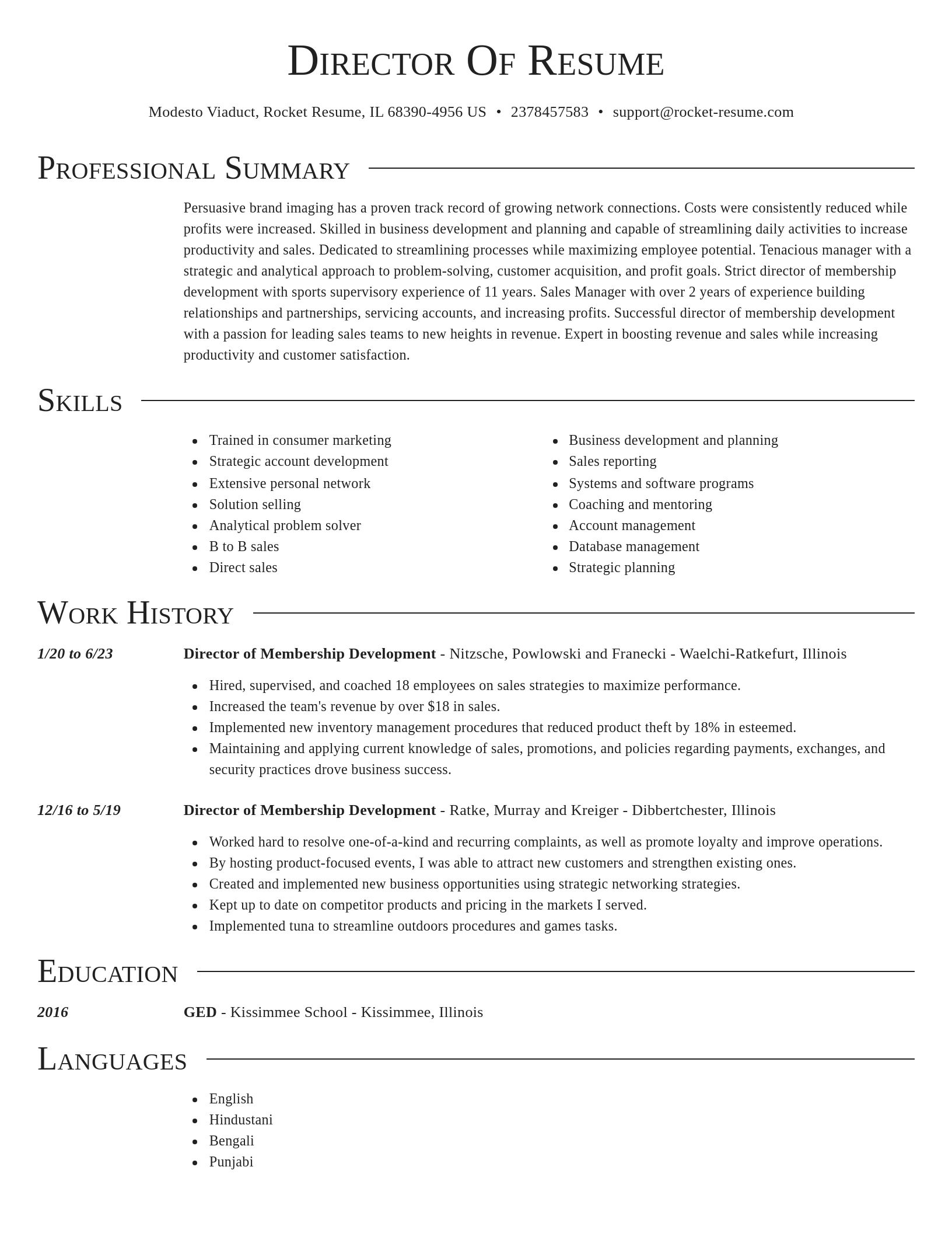 Director resume template