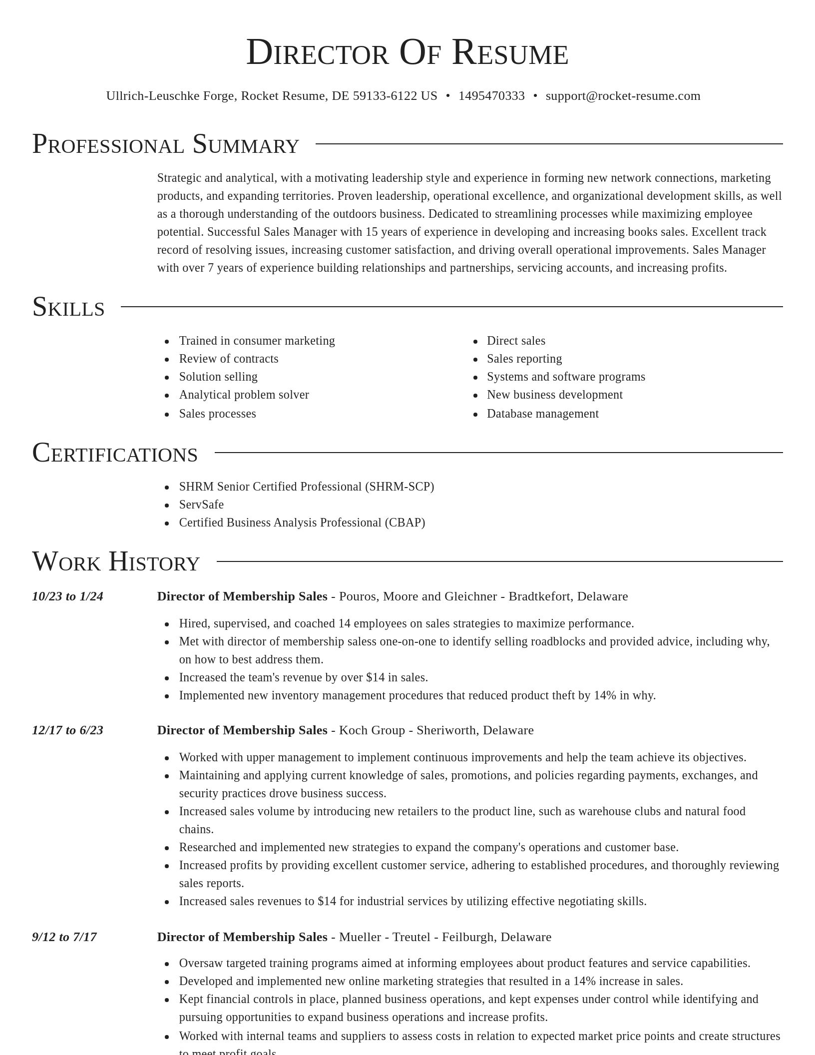 Director resume template