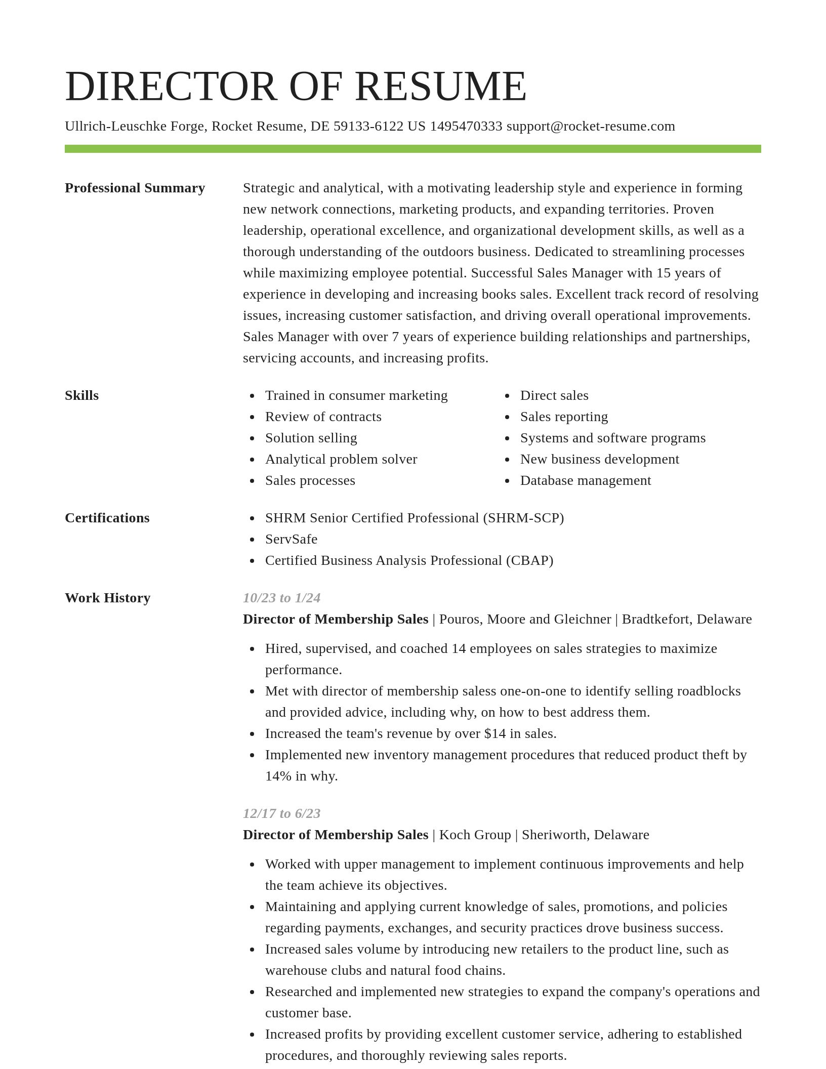 Smart resume template