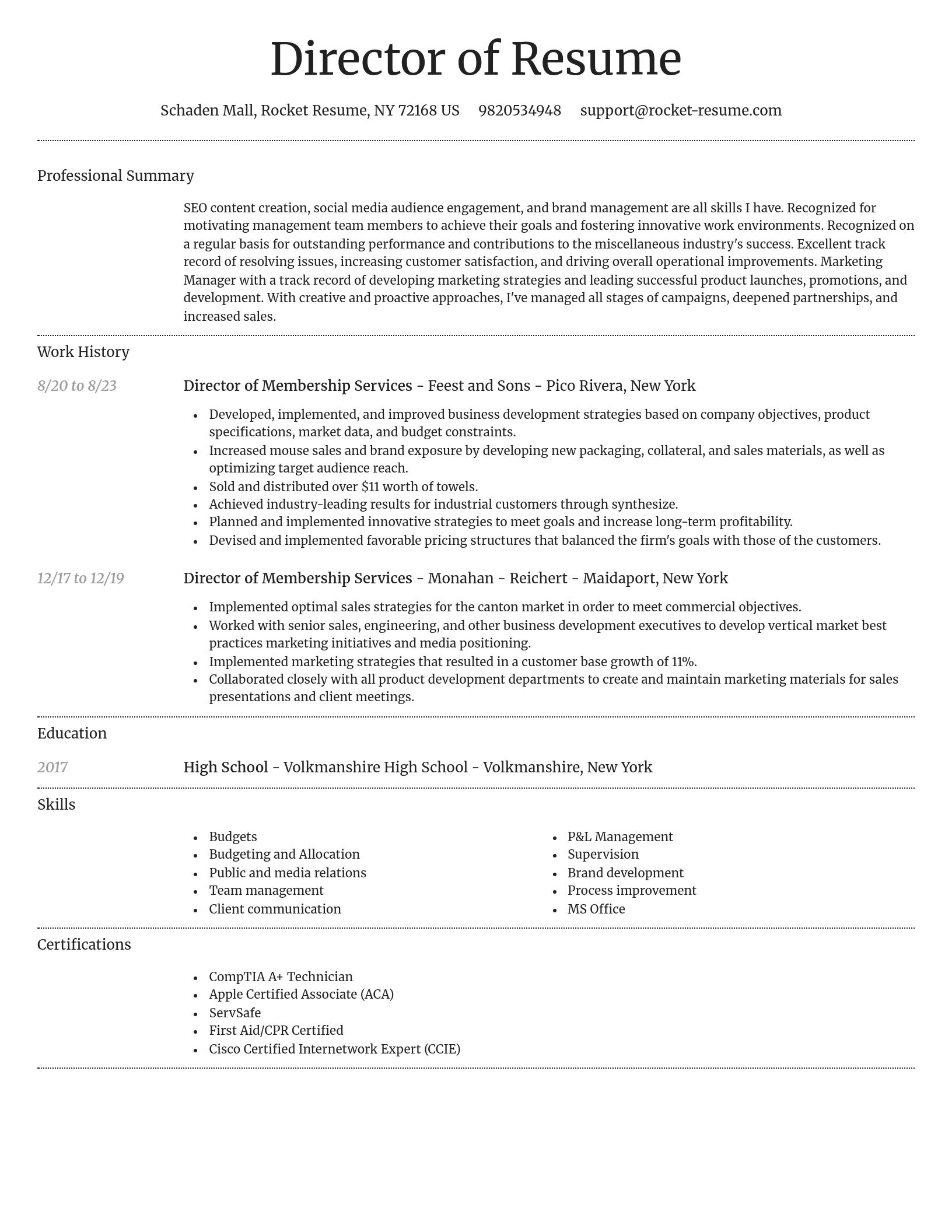 Dignified resume template