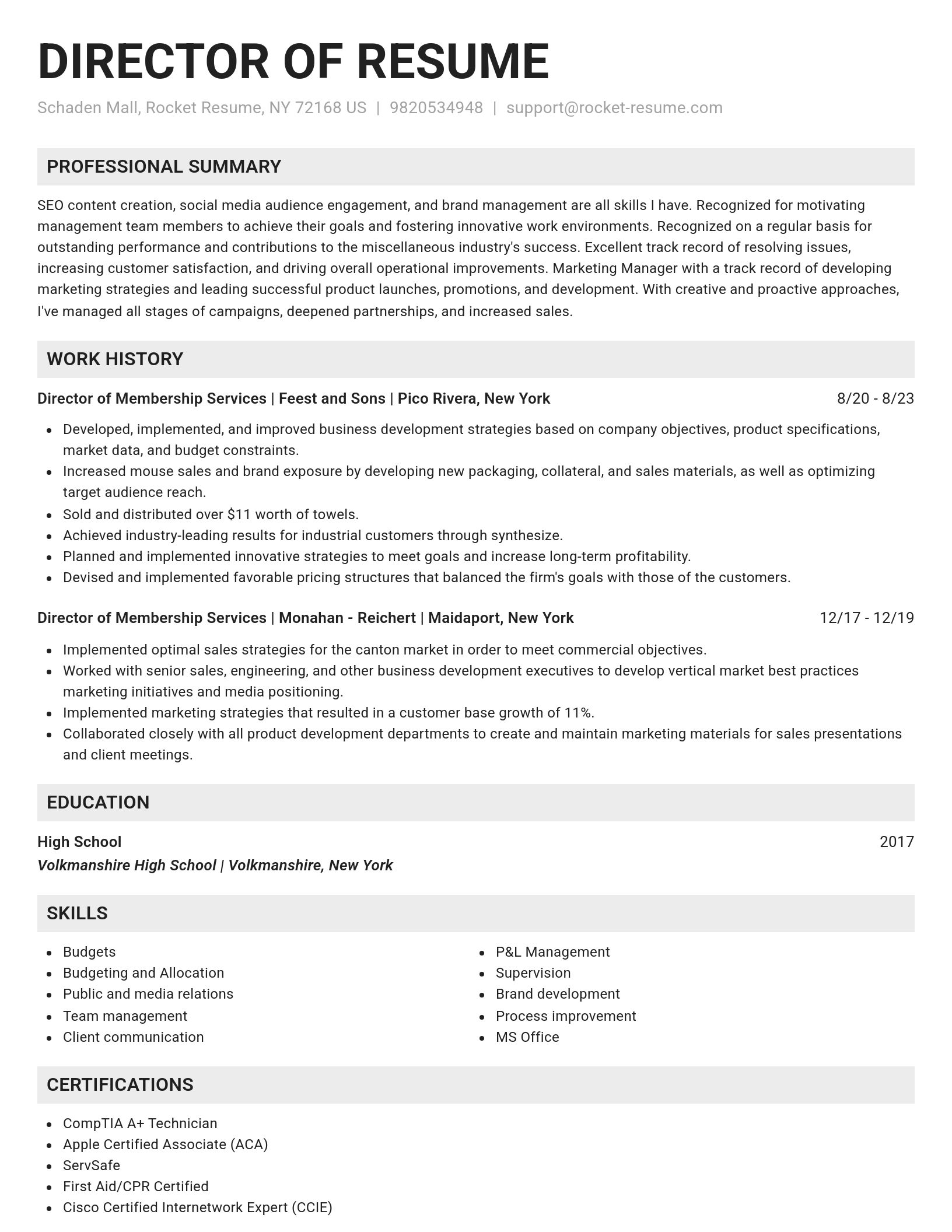 Genius resume template