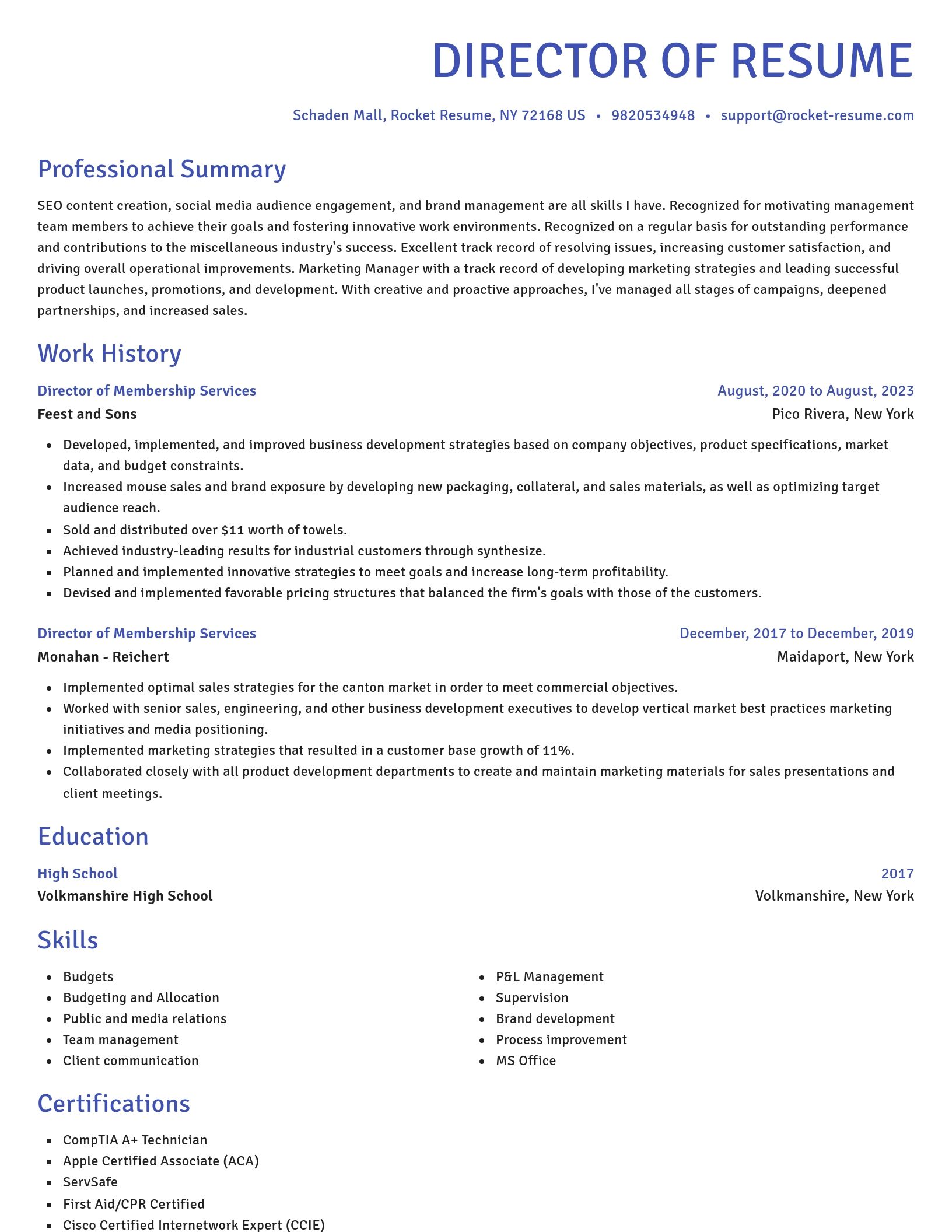 Novel resume template