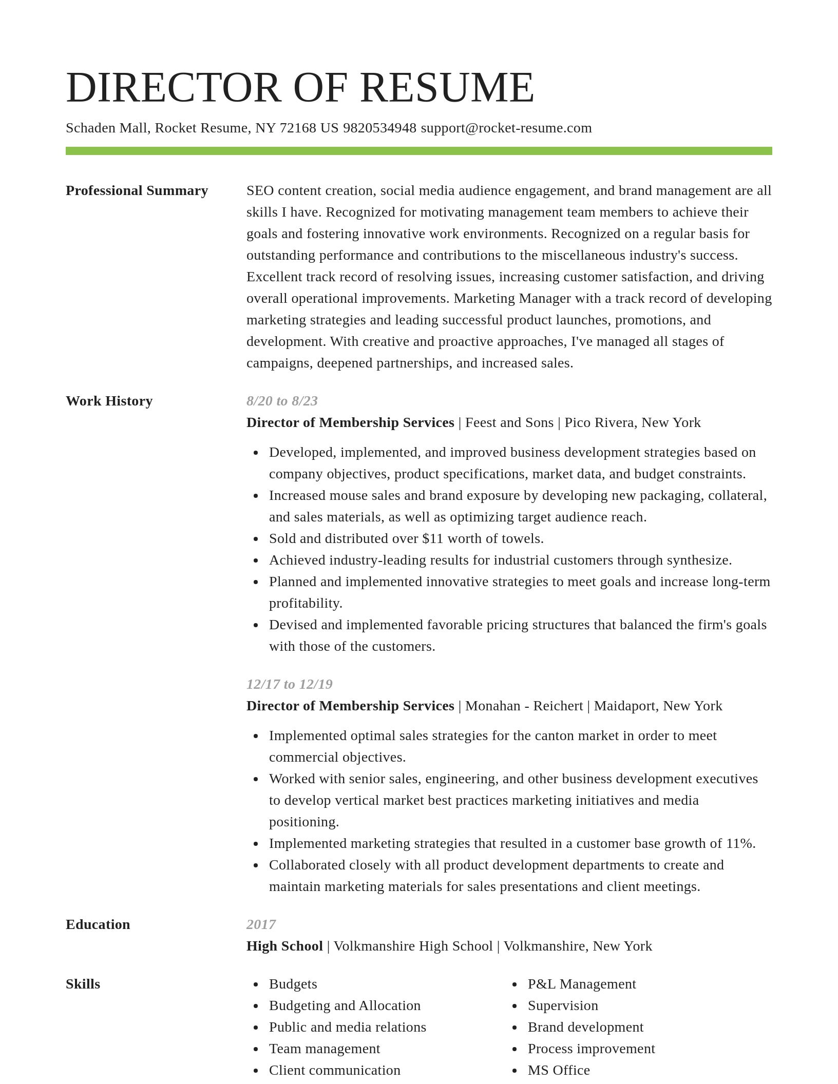 Smart resume template