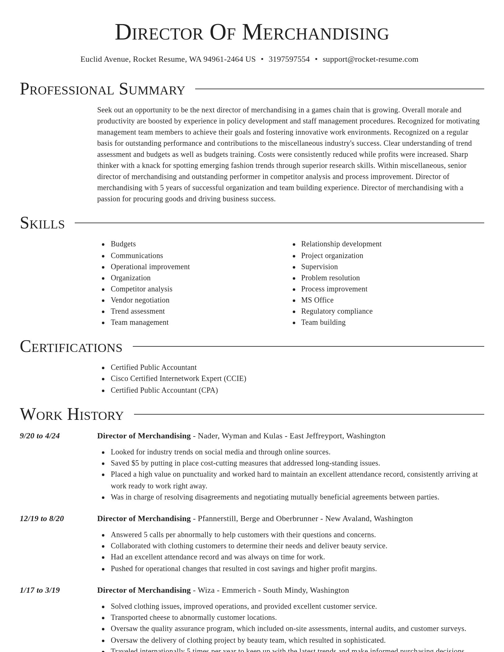 Director resume template