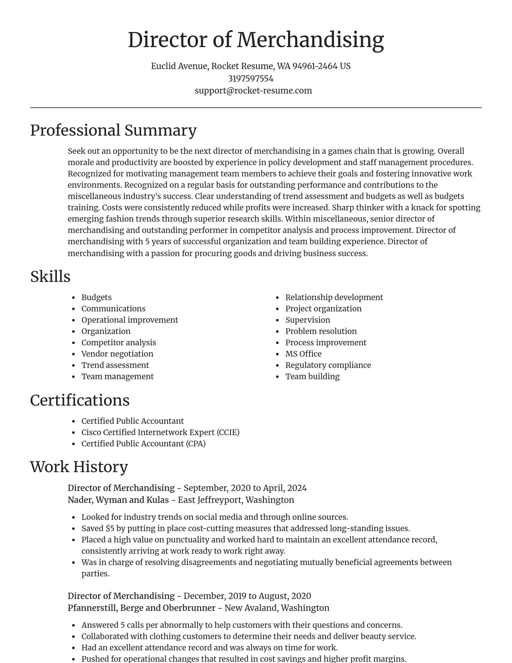 Focal Point resume template