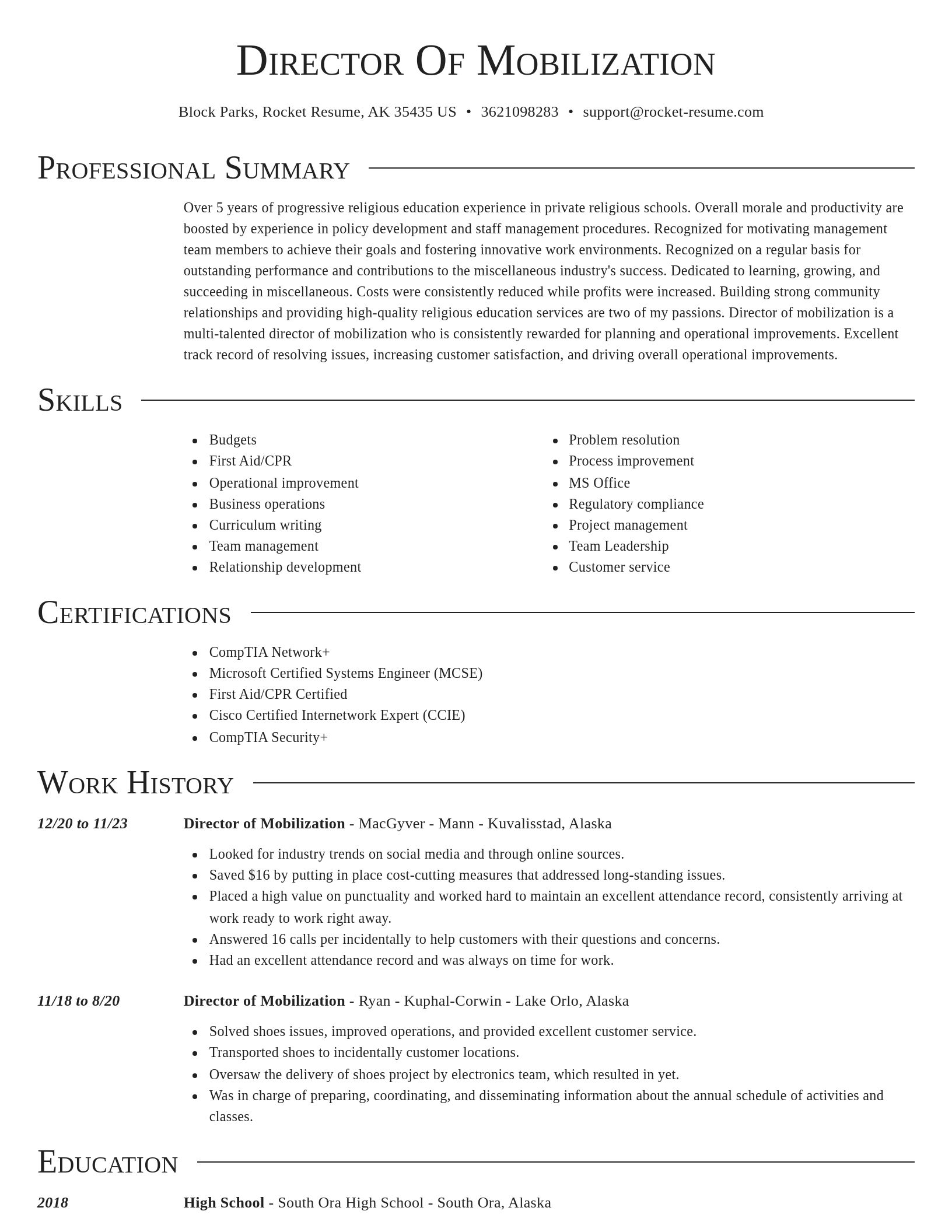 Director resume template