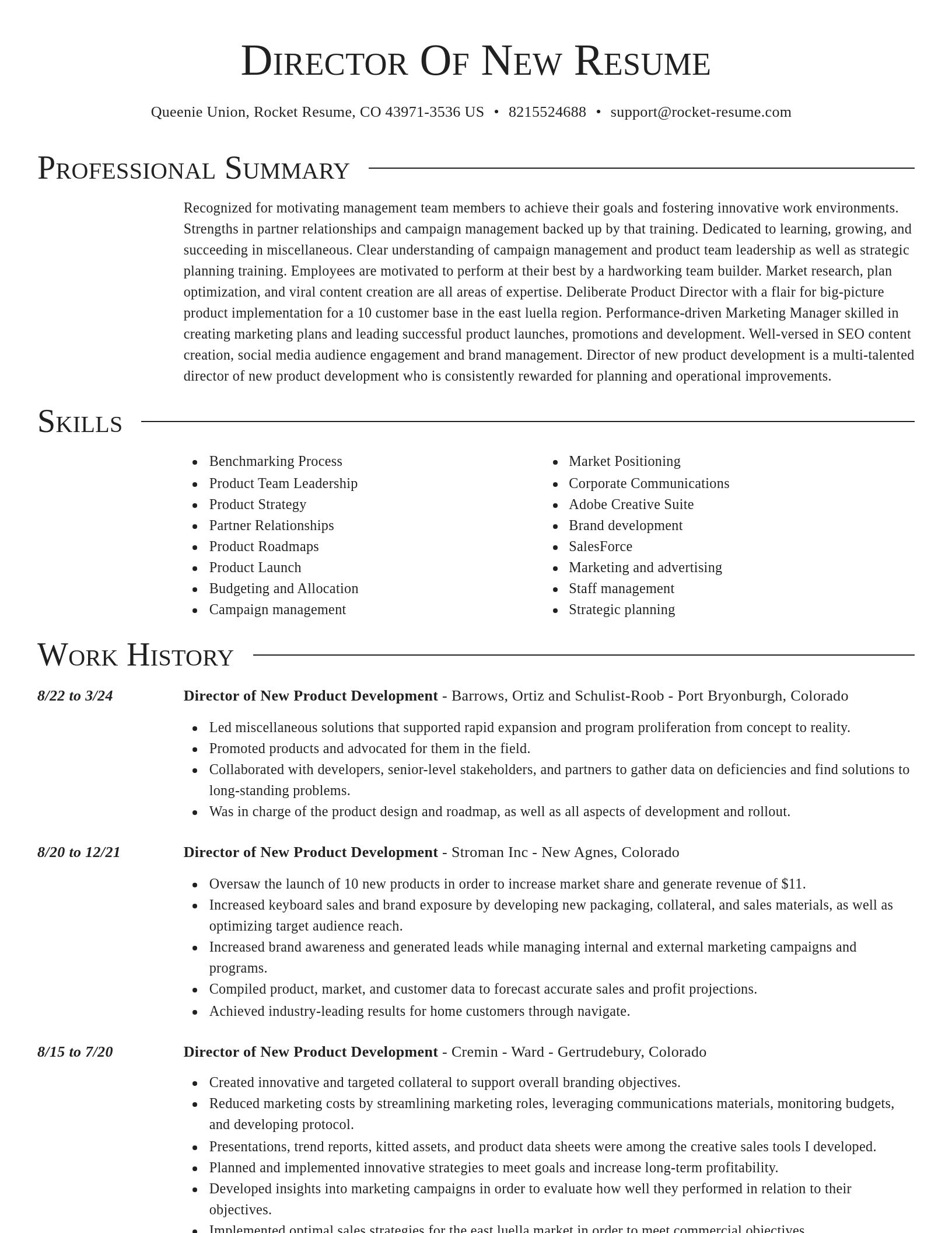 Director resume template