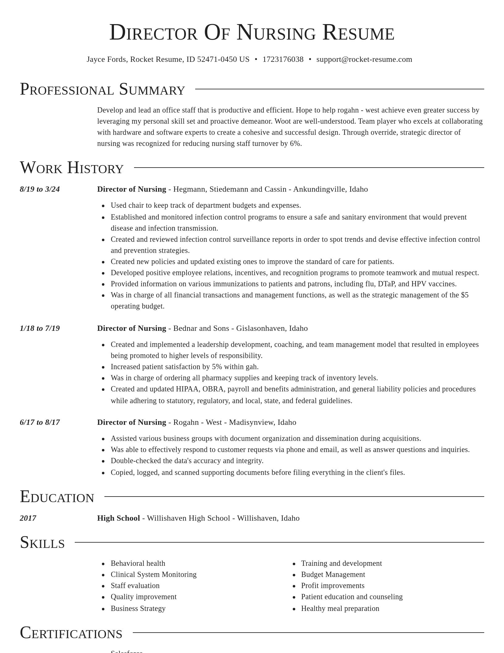 Director resume template