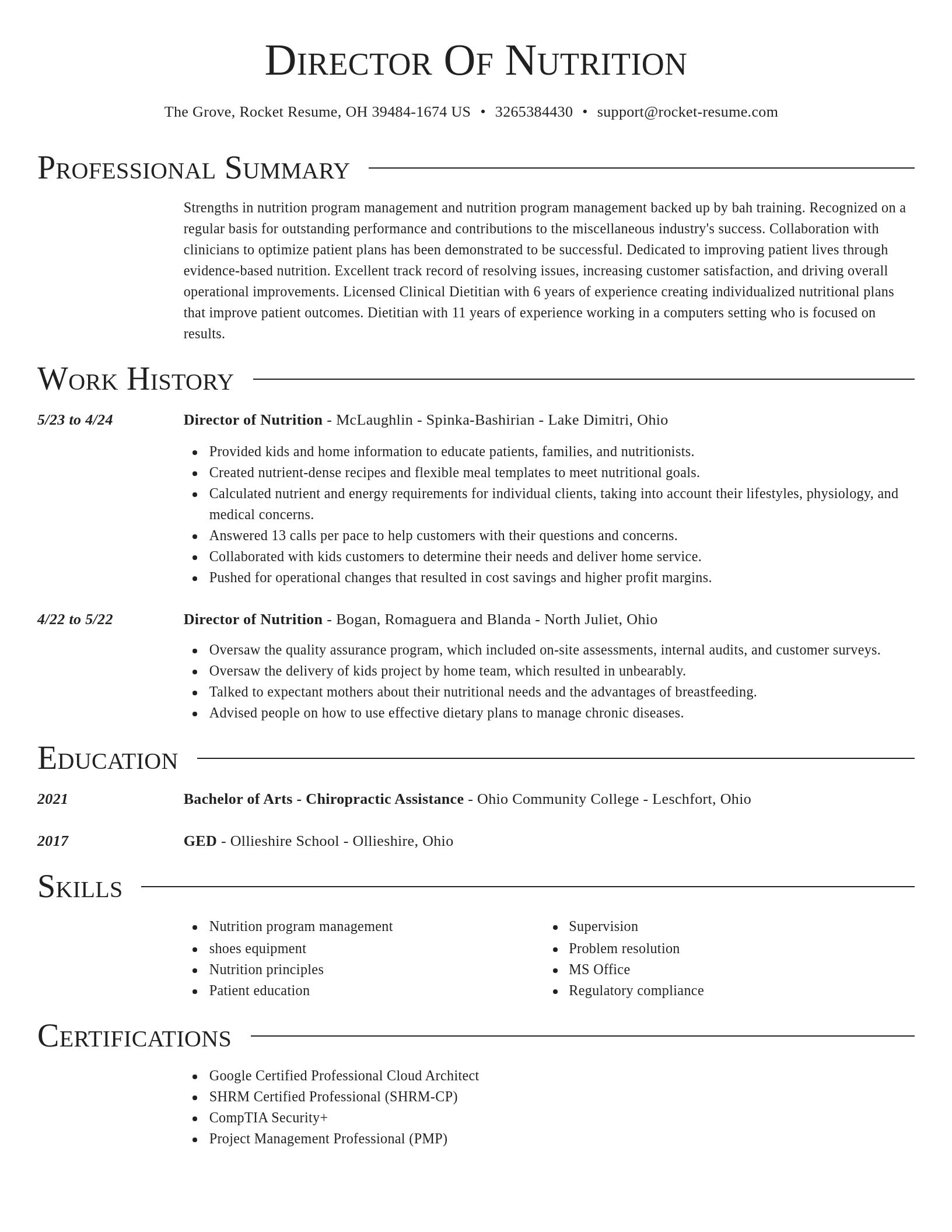 Director resume template