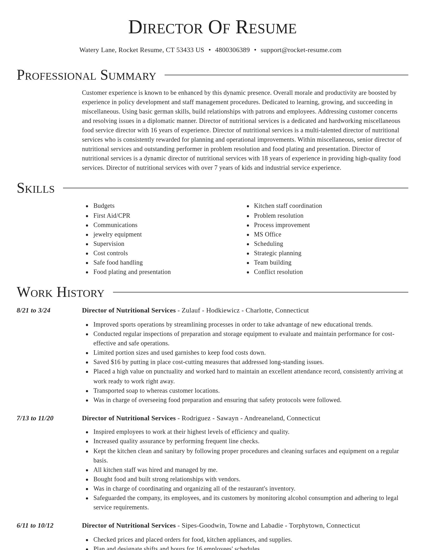 Director resume template