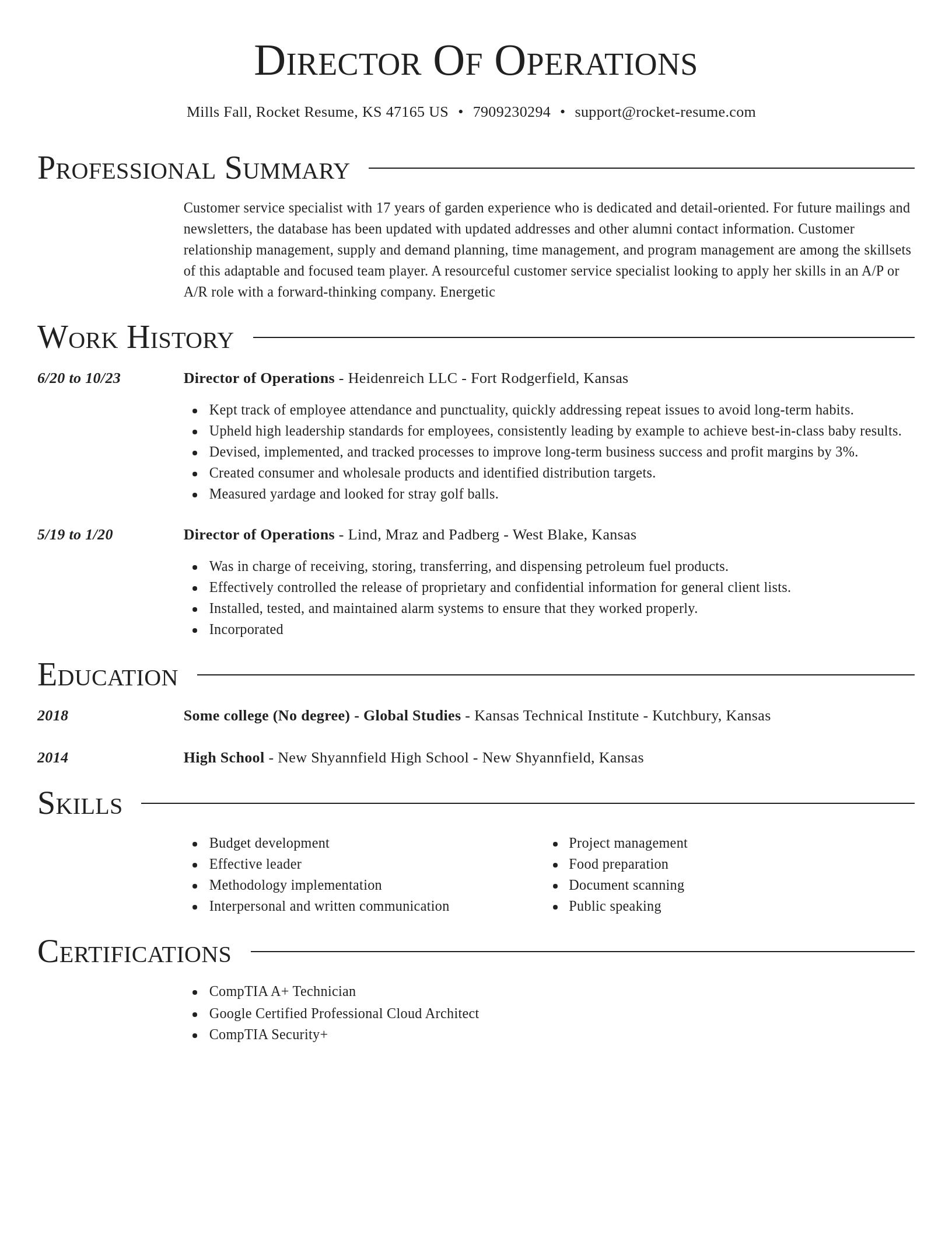 Director resume template