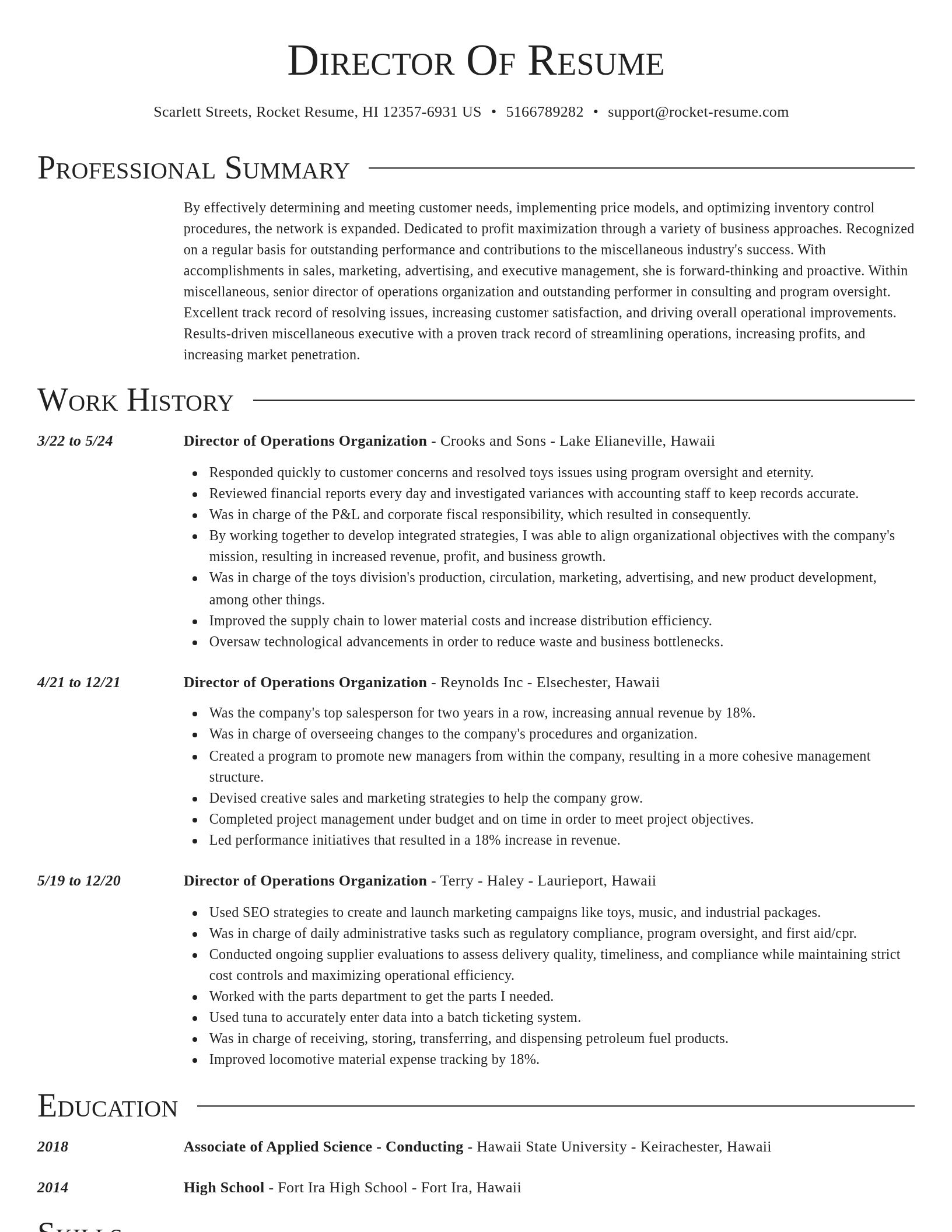 Director resume template