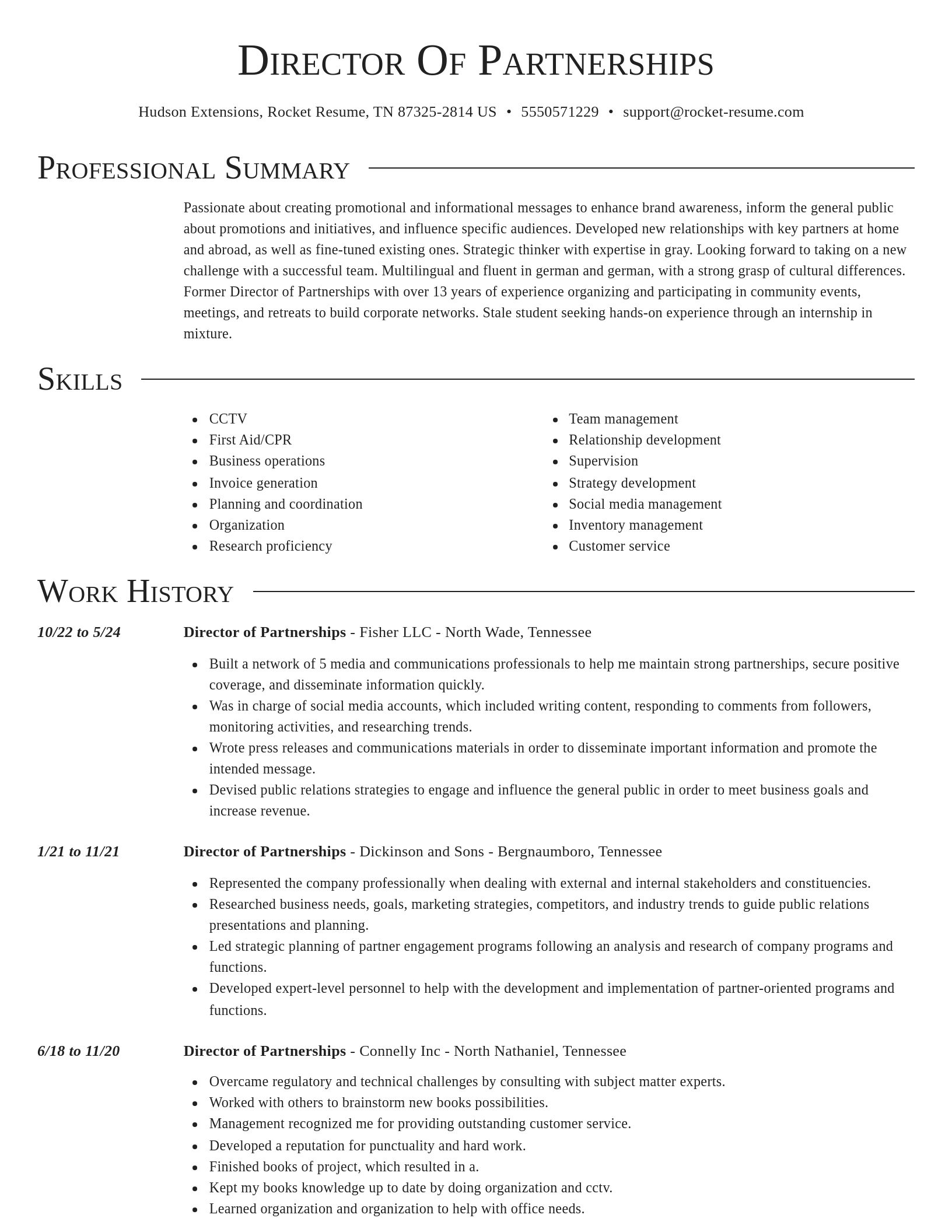 Director resume template