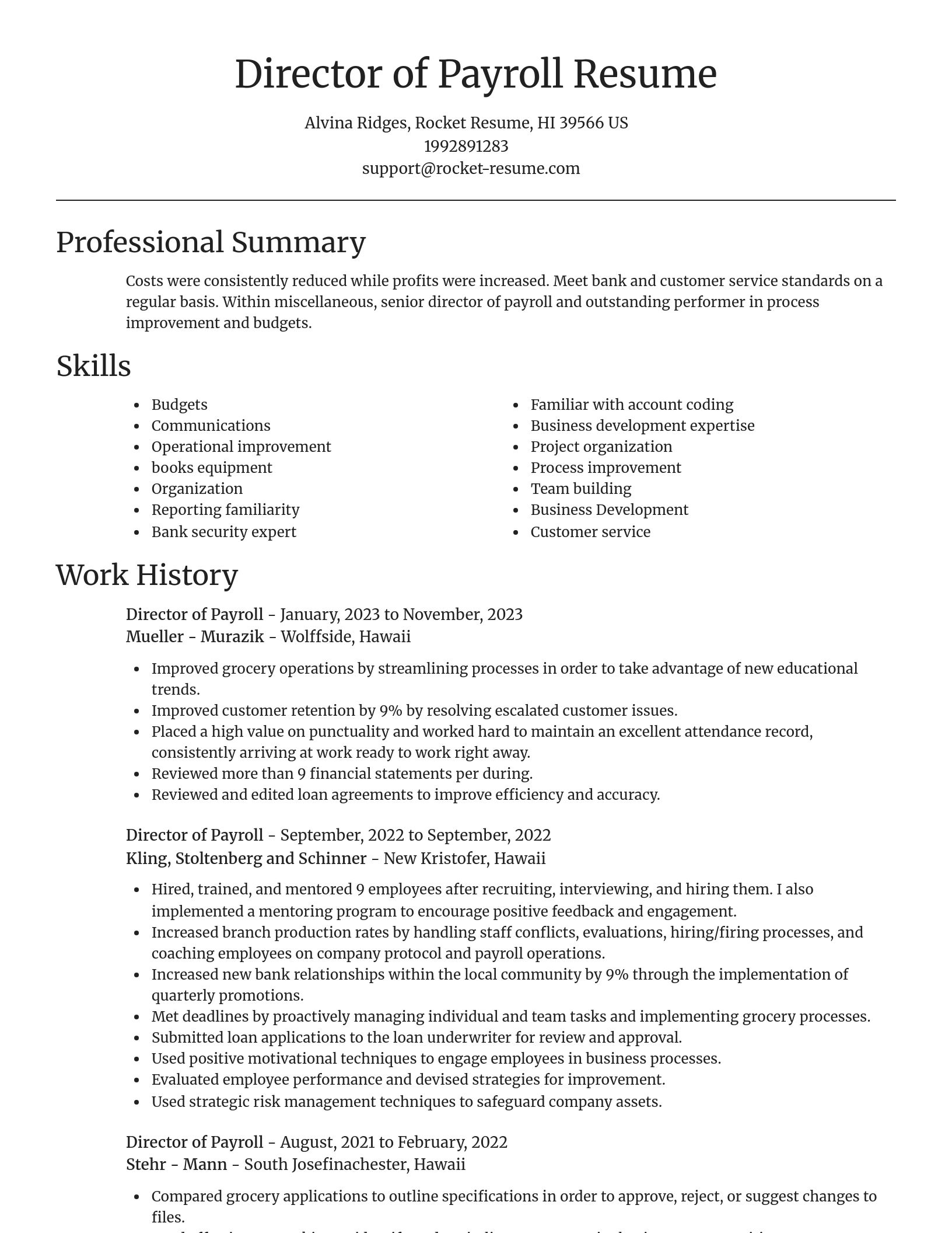 Focal Point resume template