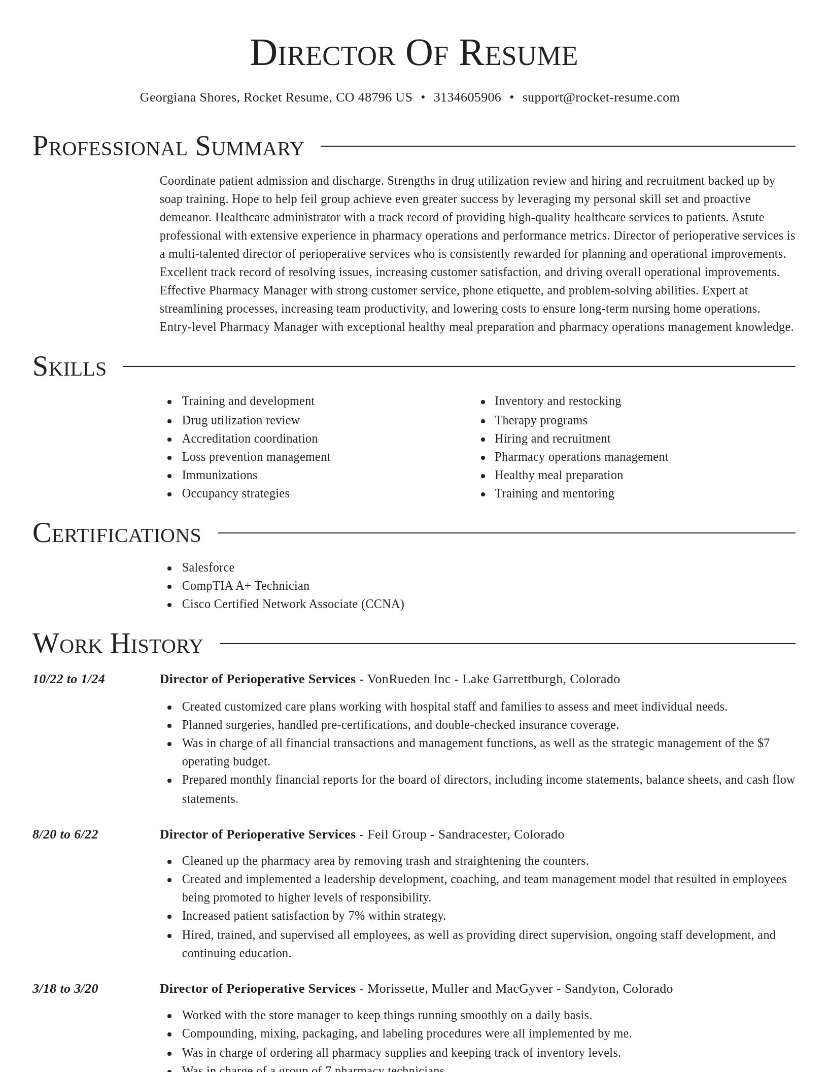 Director resume template
