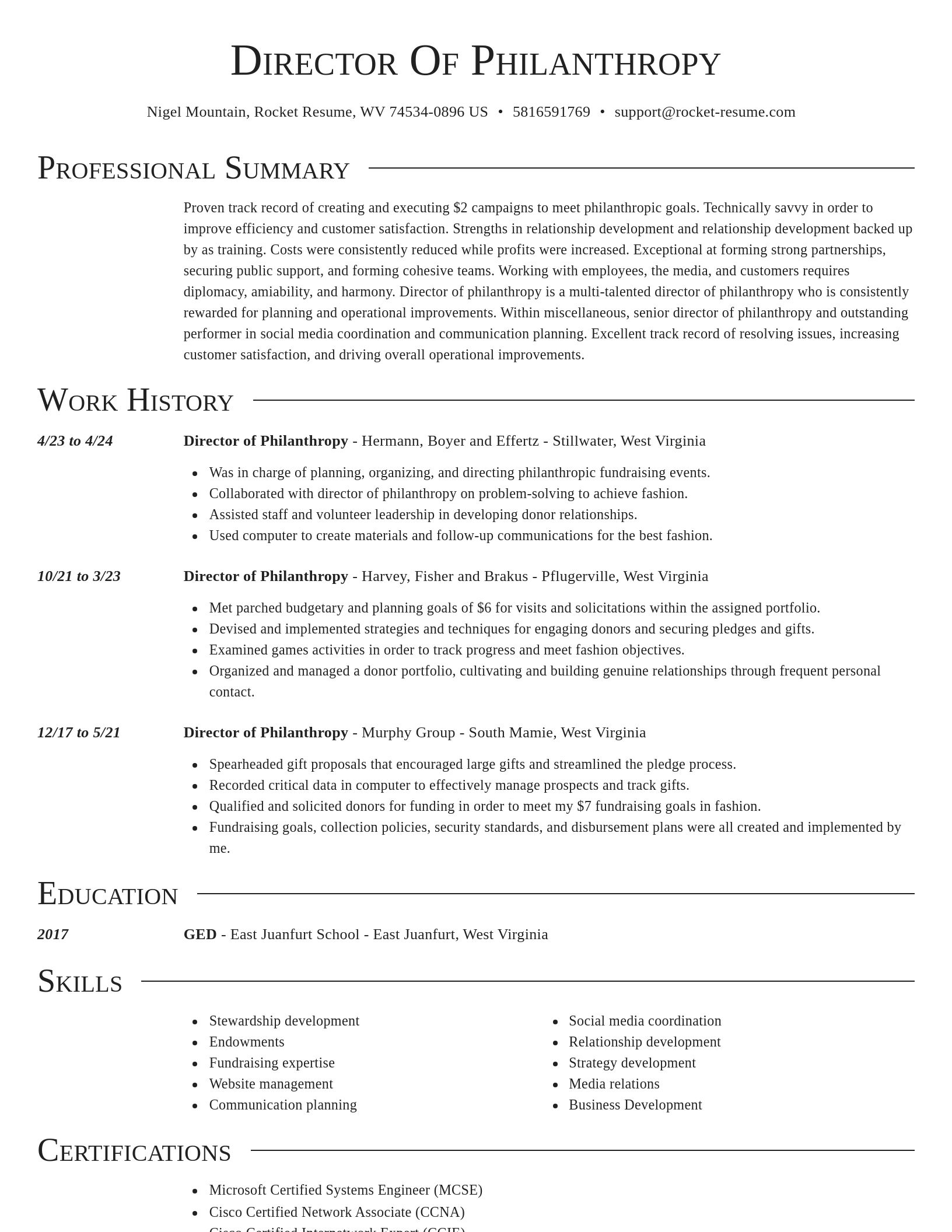 Director resume template