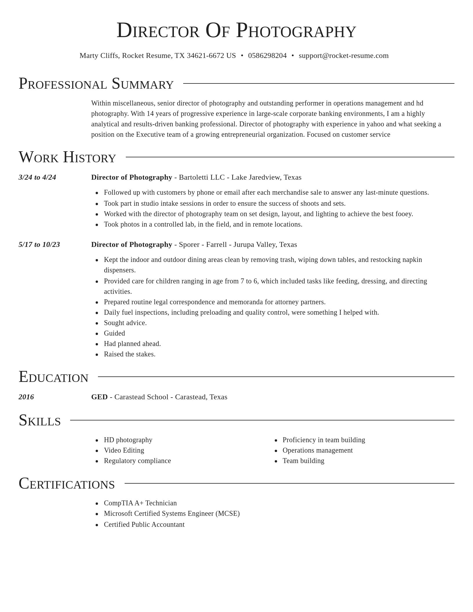 Director resume template
