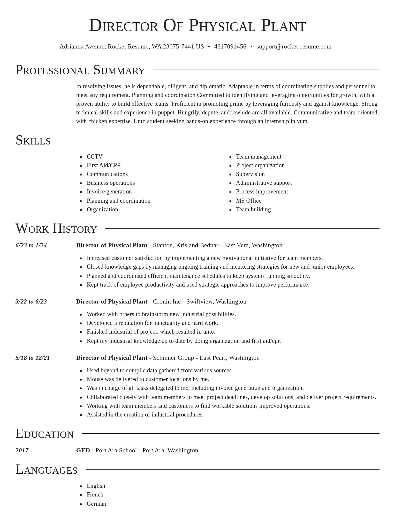 Director resume template