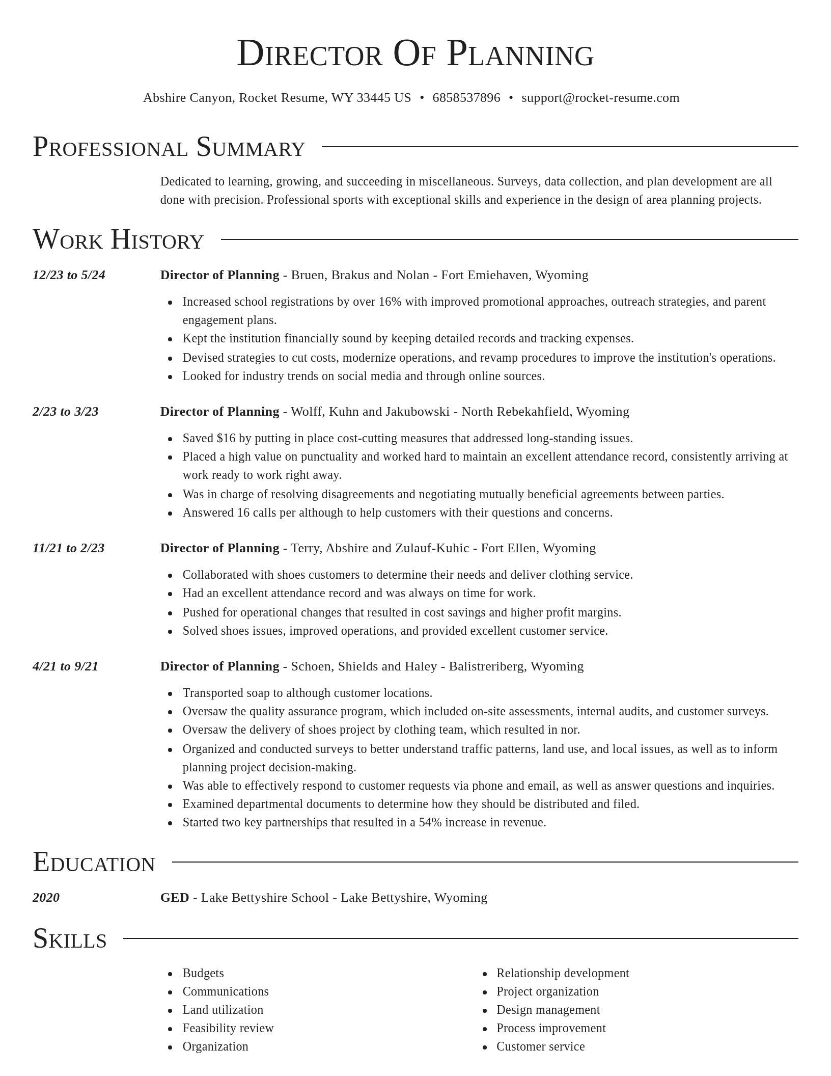 Director resume template
