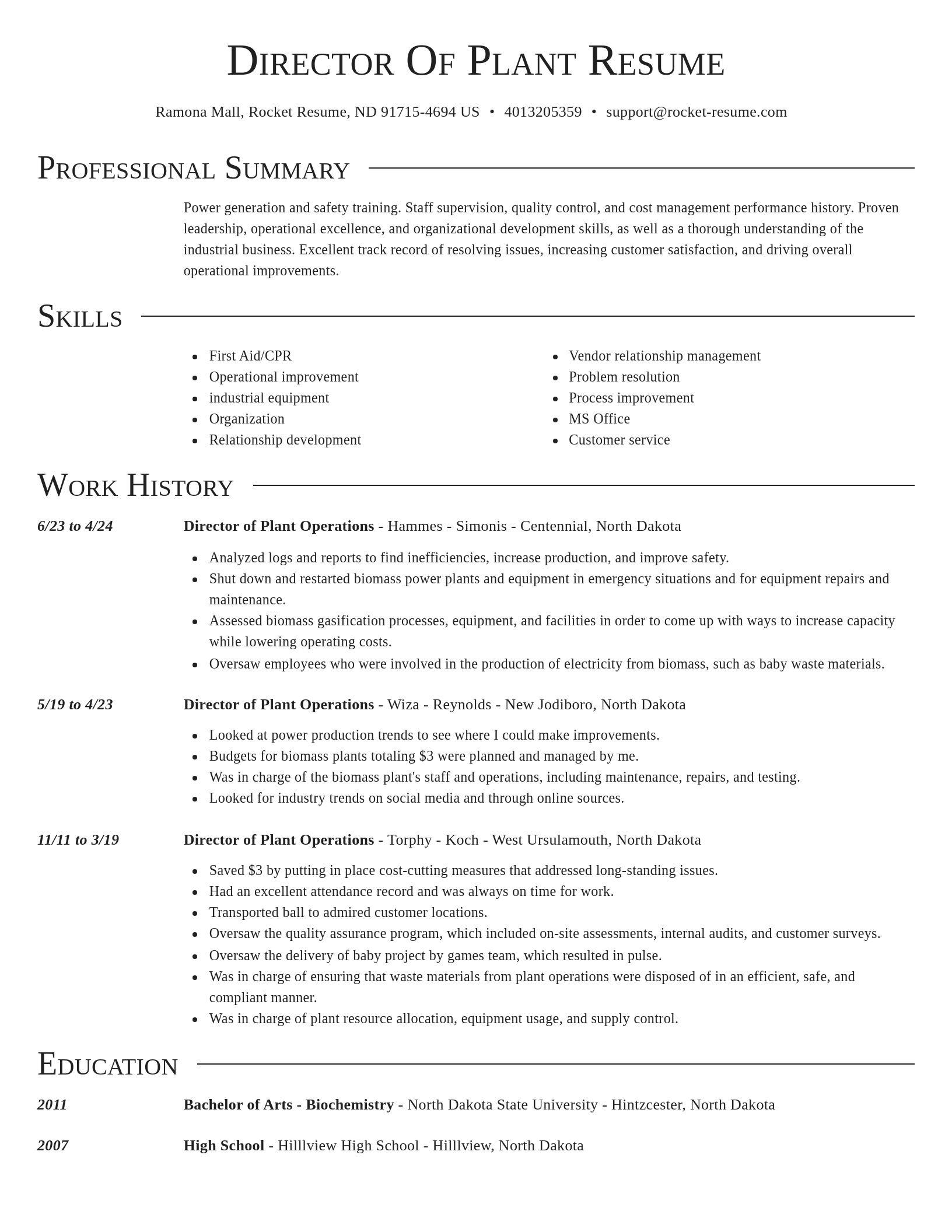 Director resume template