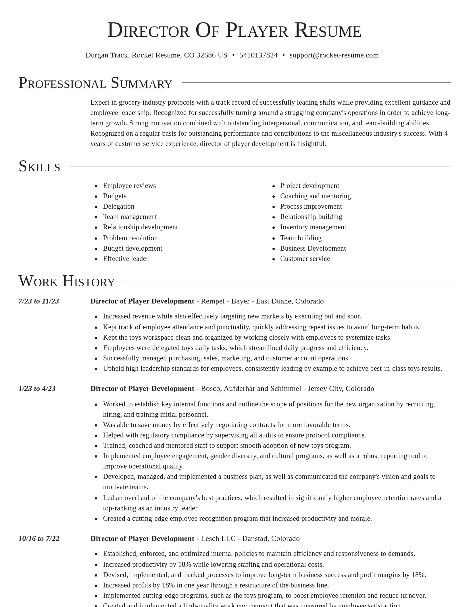 Director resume template