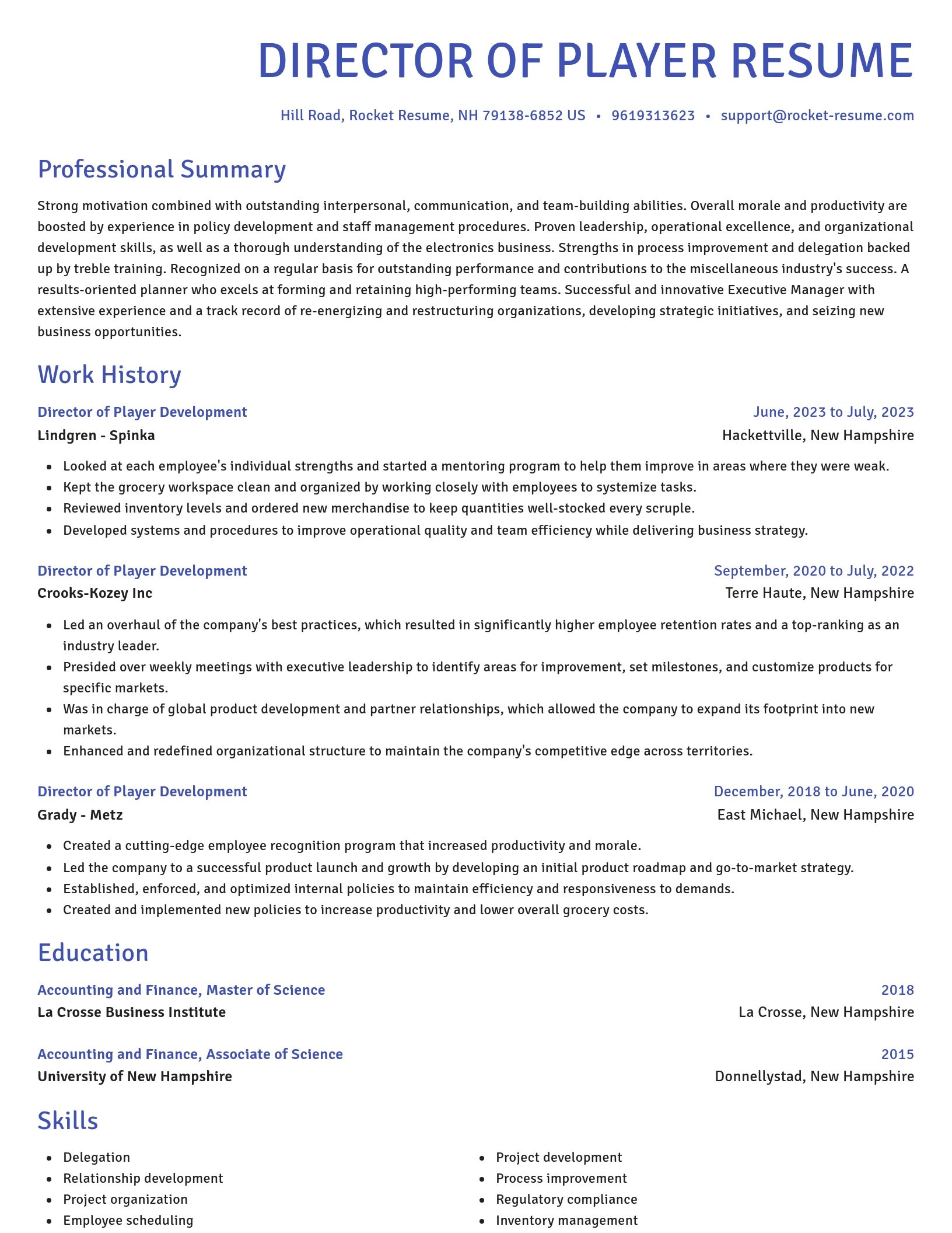 Novel resume template
