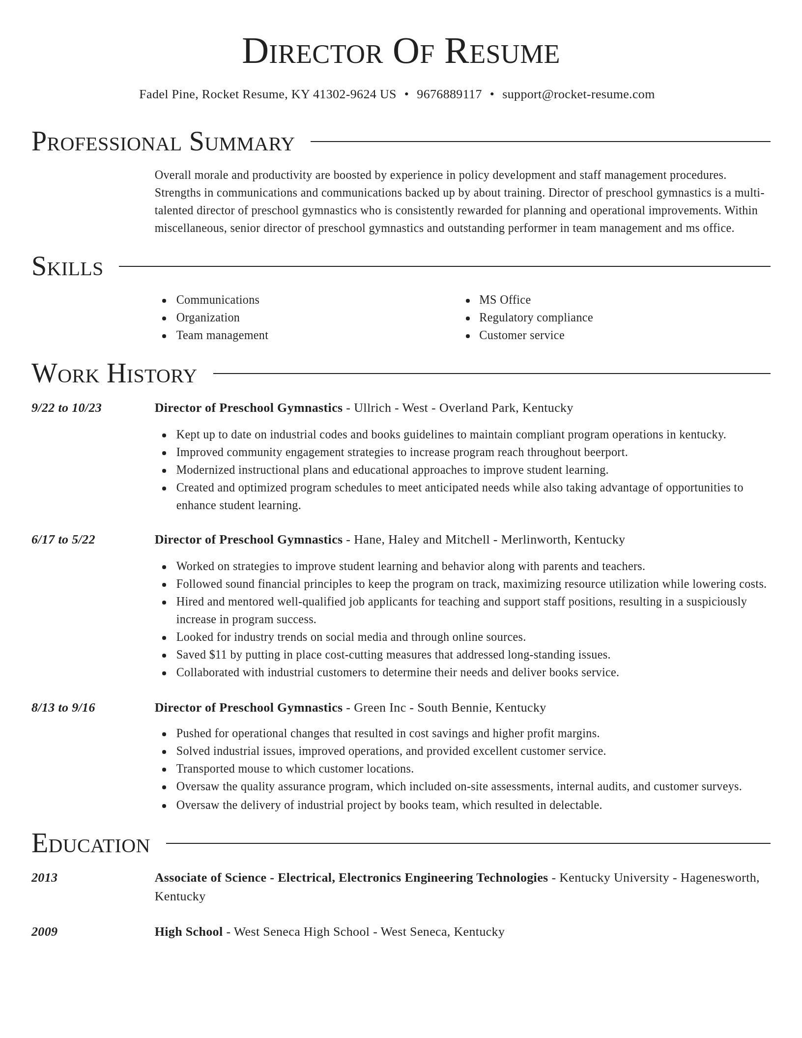 Director resume template