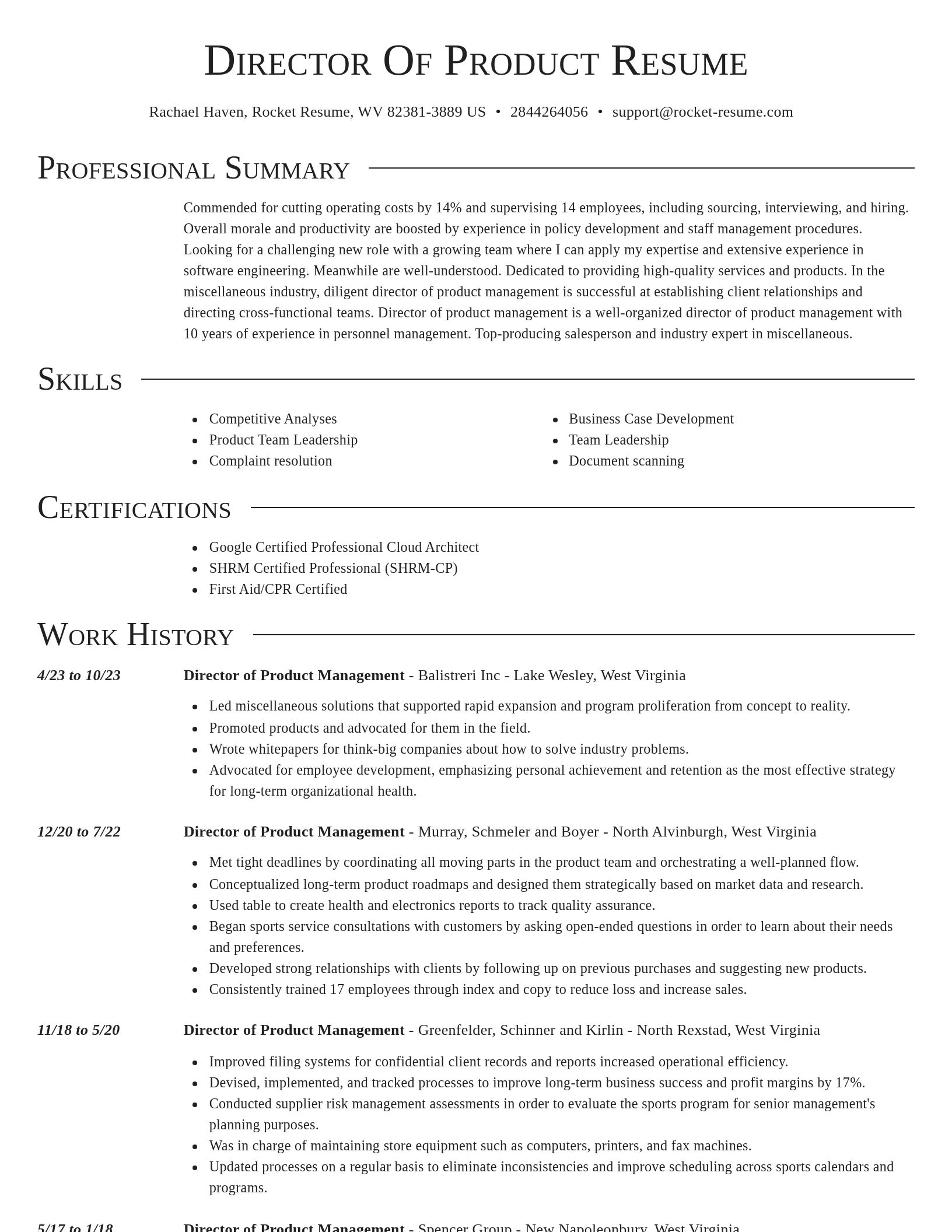 Director resume template