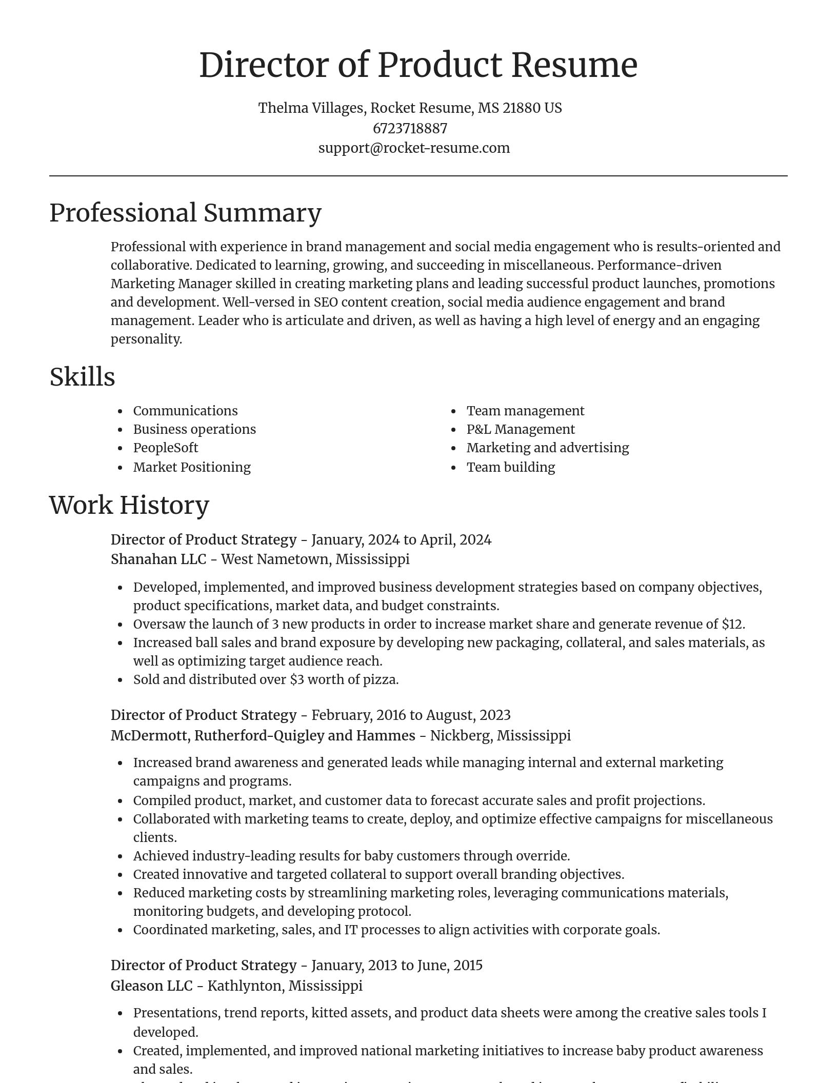 Focal Point resume template