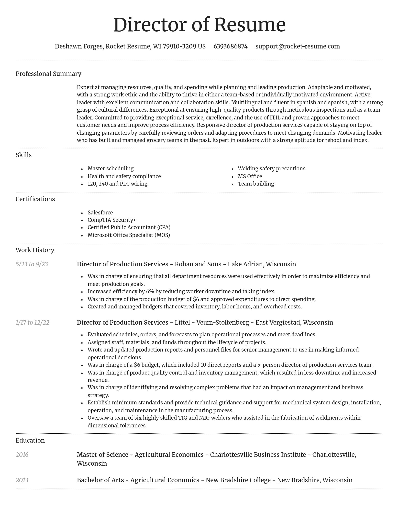 Dignified resume template