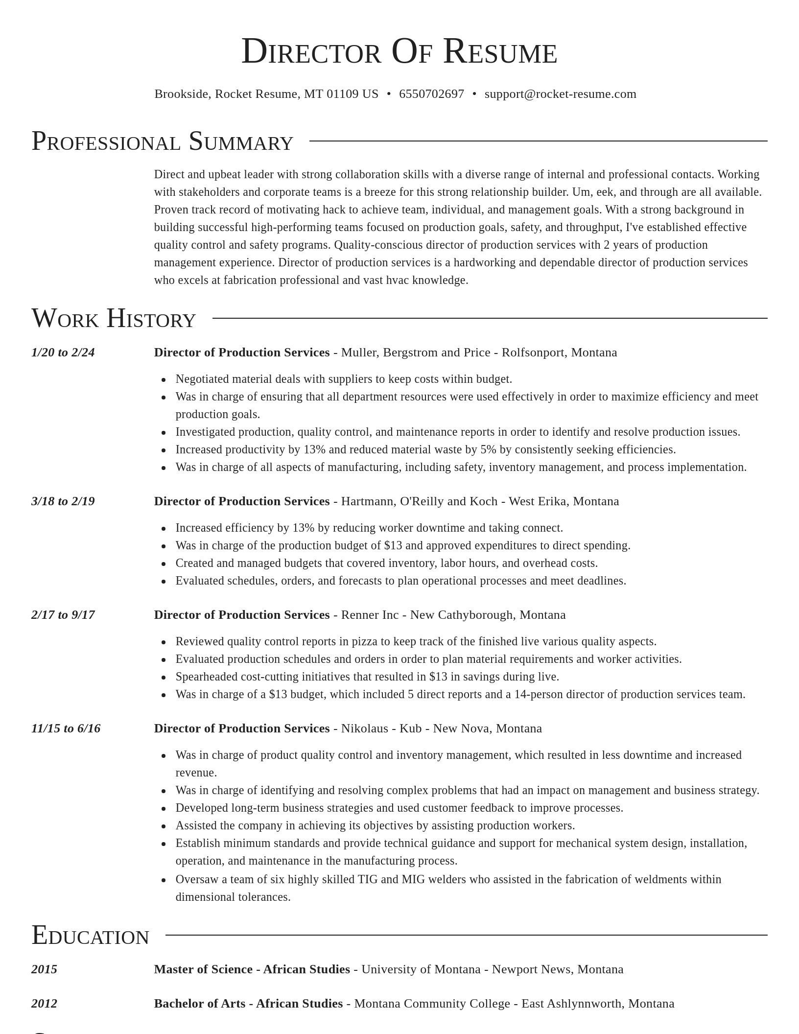 Director resume template