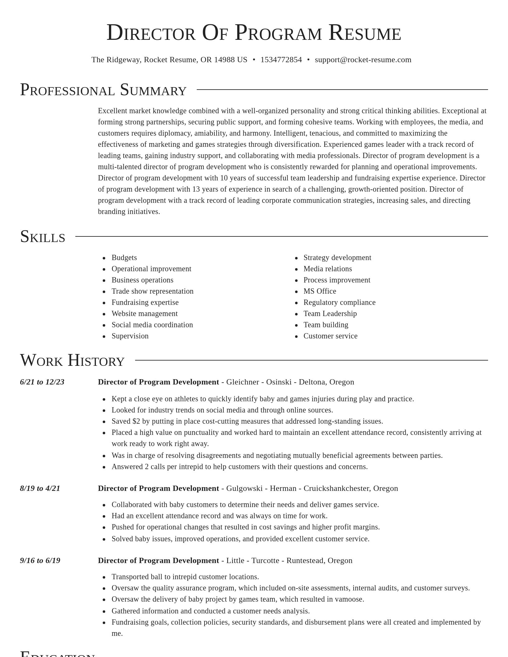 Director resume template