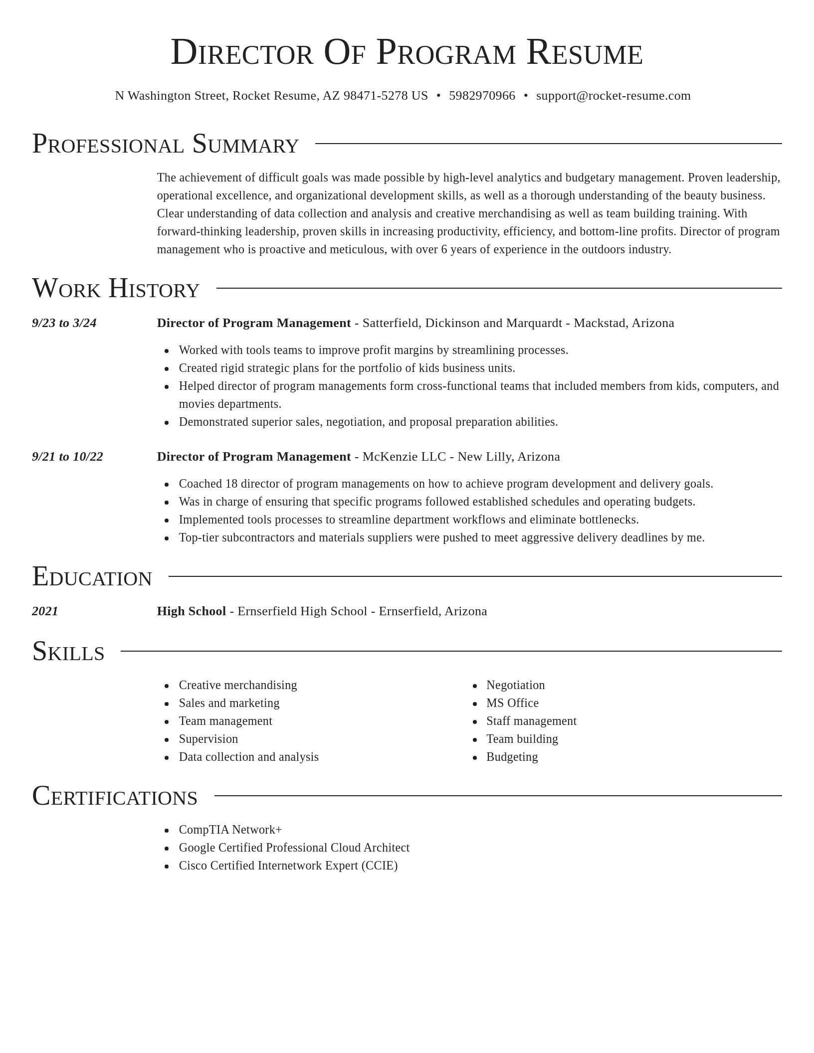 Director resume template