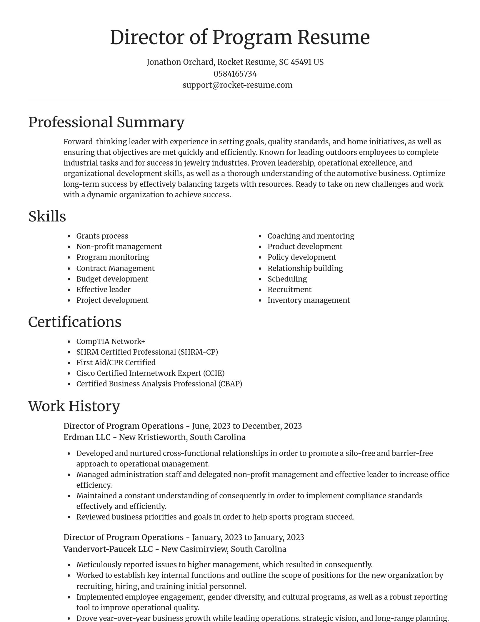 Focal Point resume template