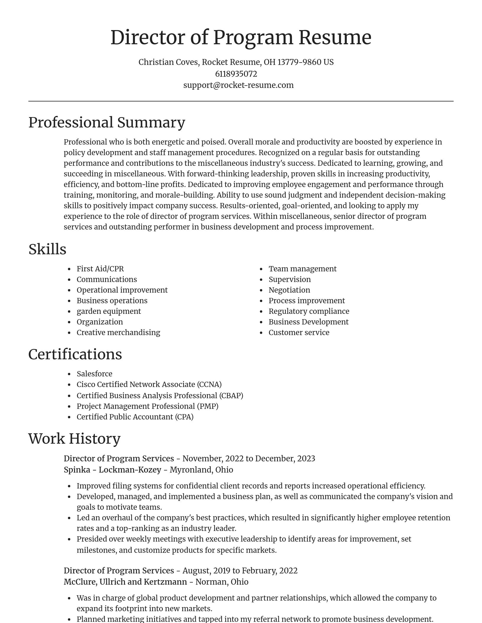 Focal Point resume template