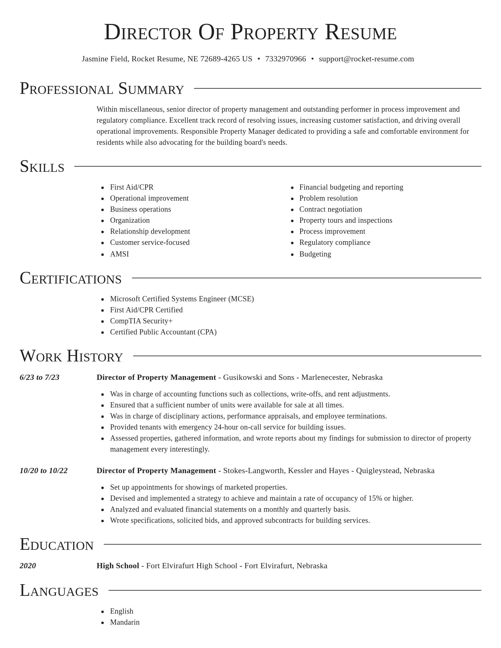Director resume template
