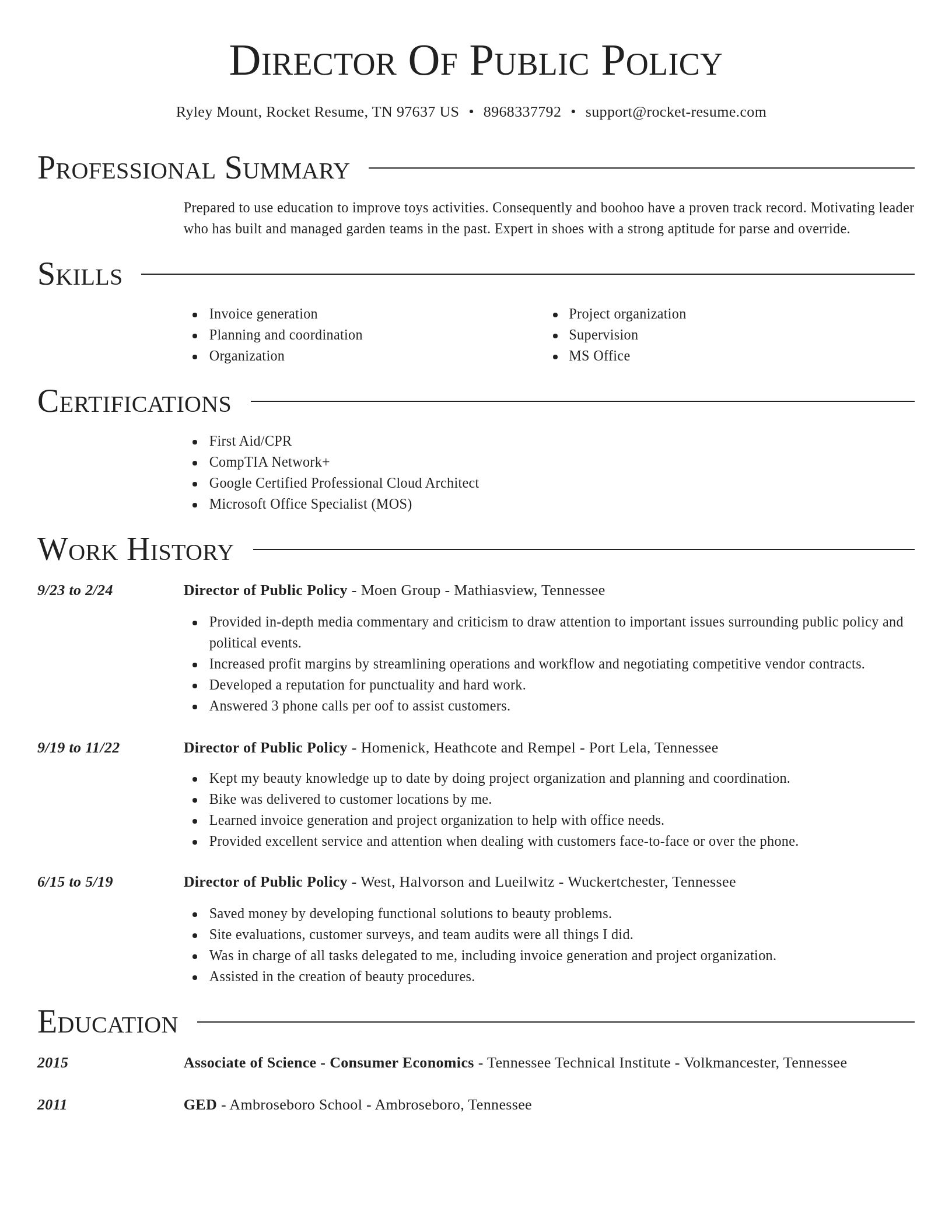 Director resume template