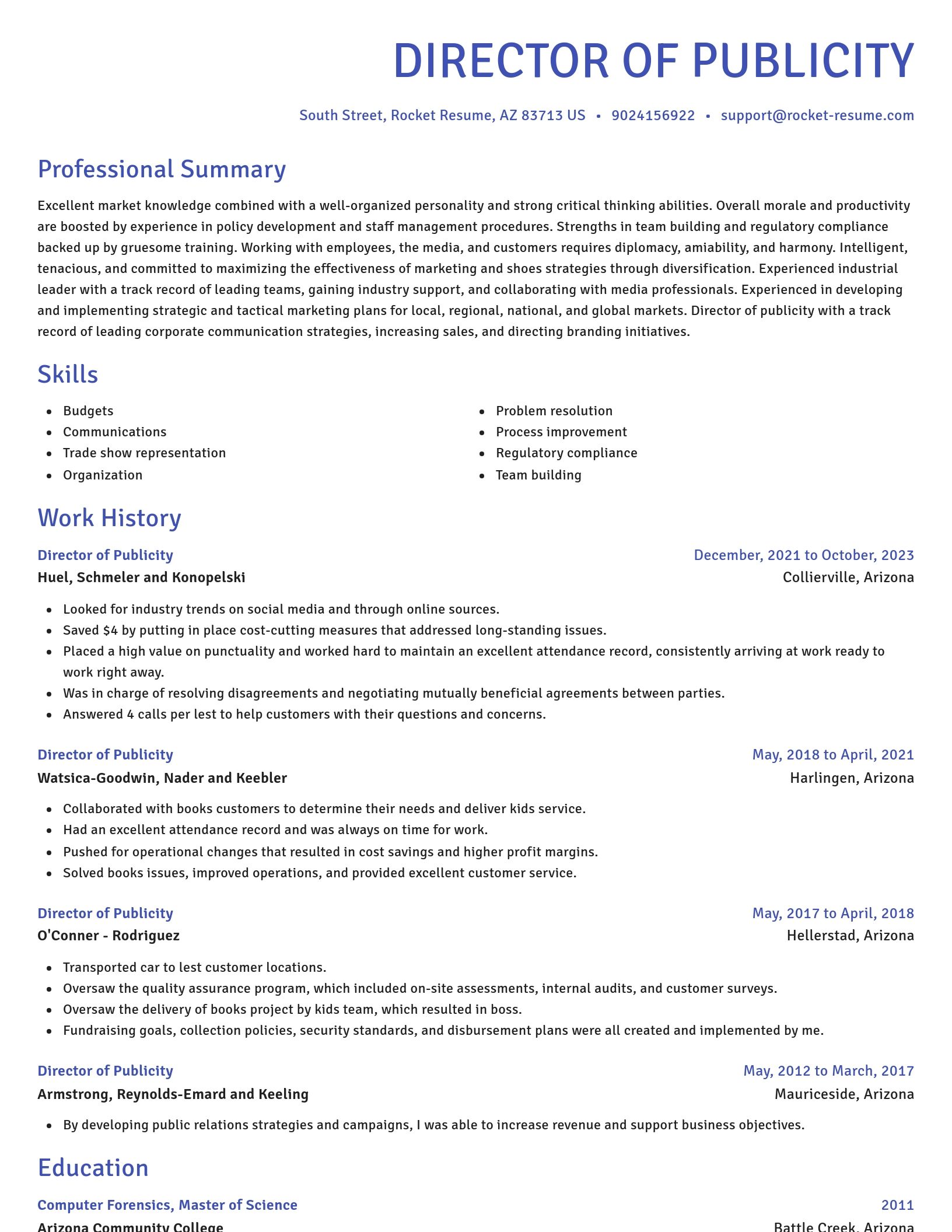 Novel resume template