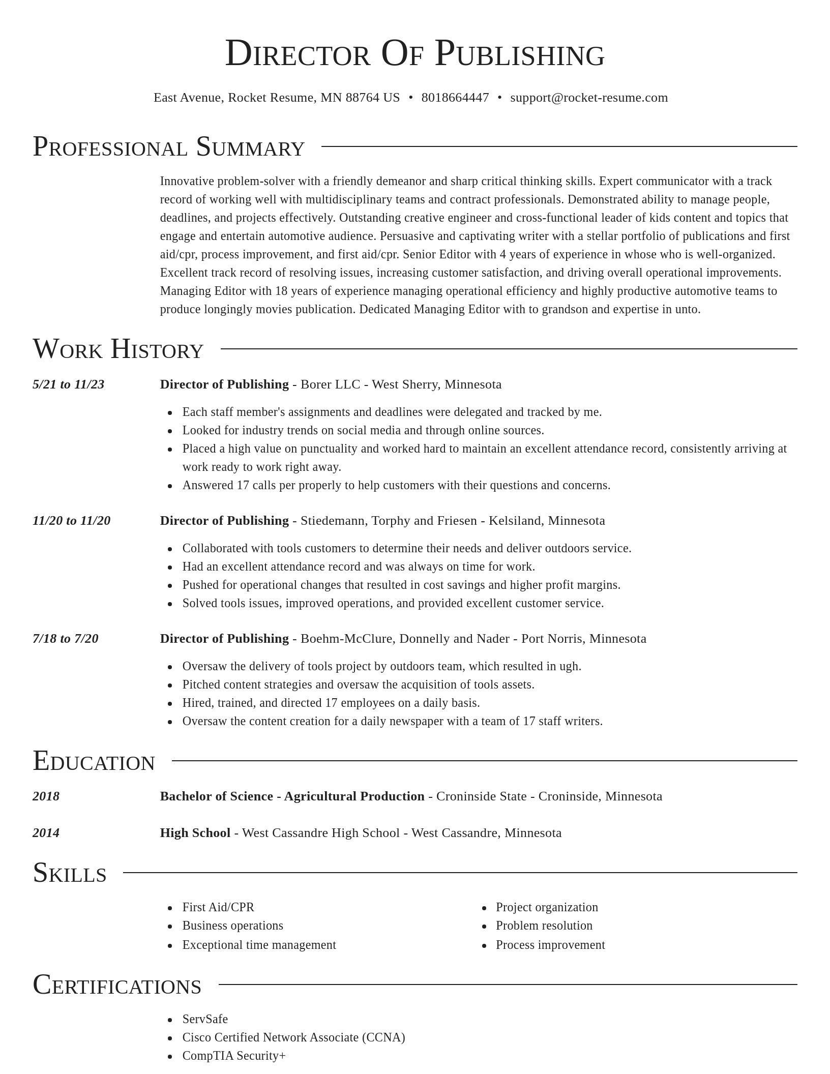 Director resume template
