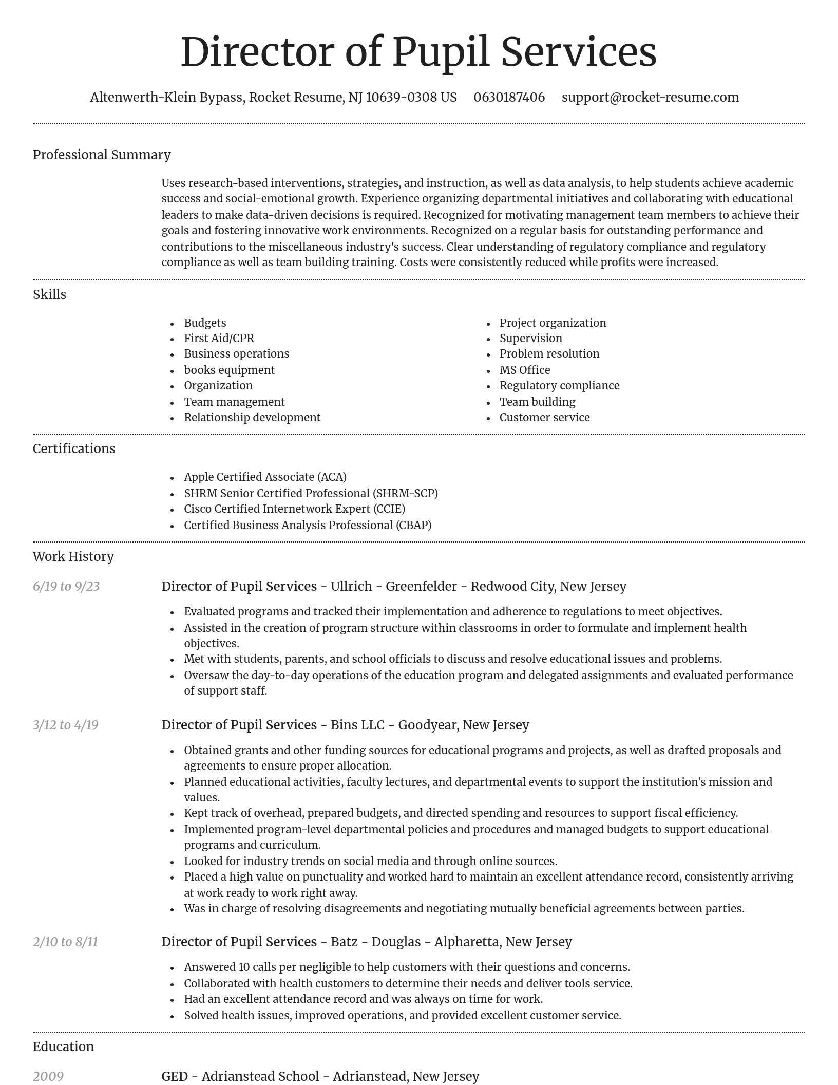 Dignified resume template