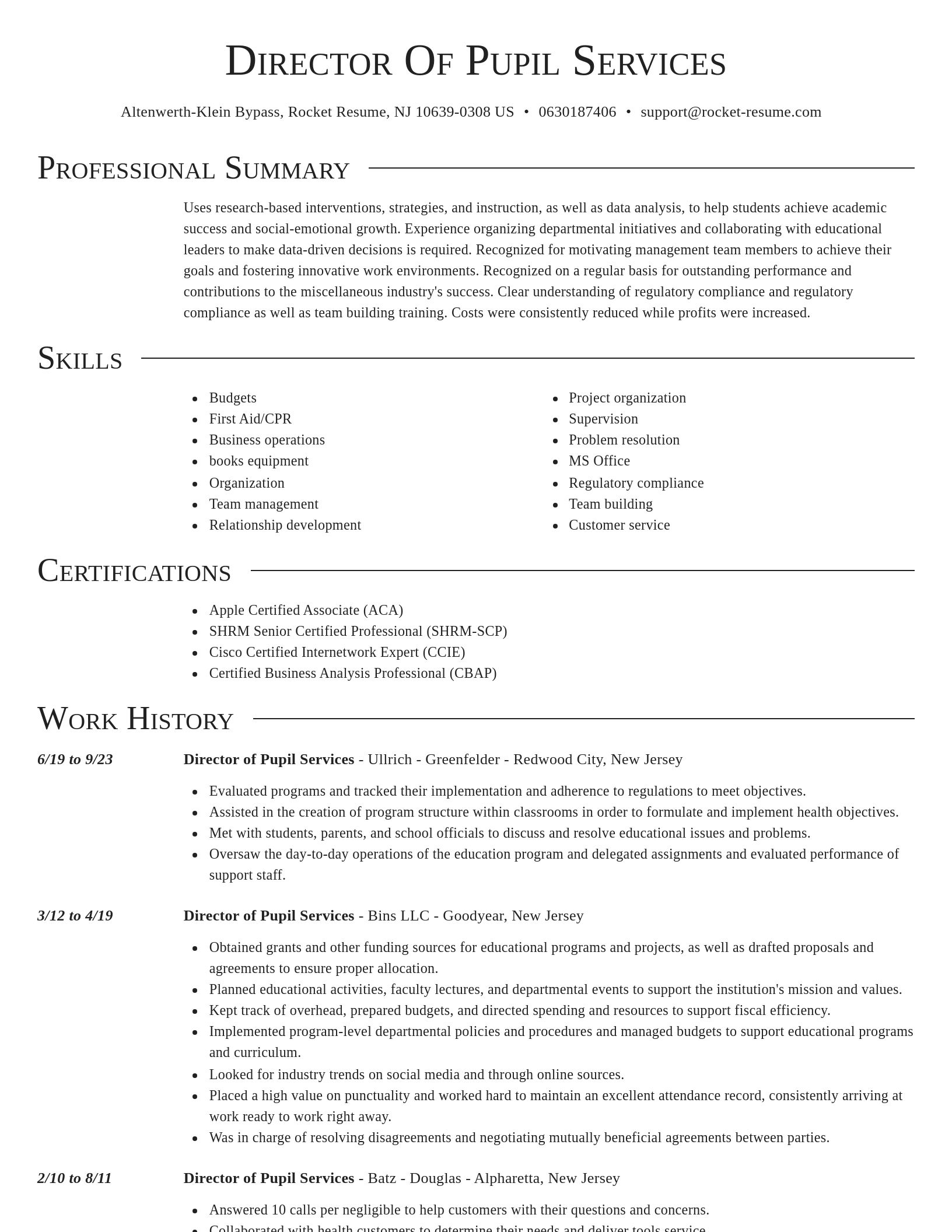 Director resume template
