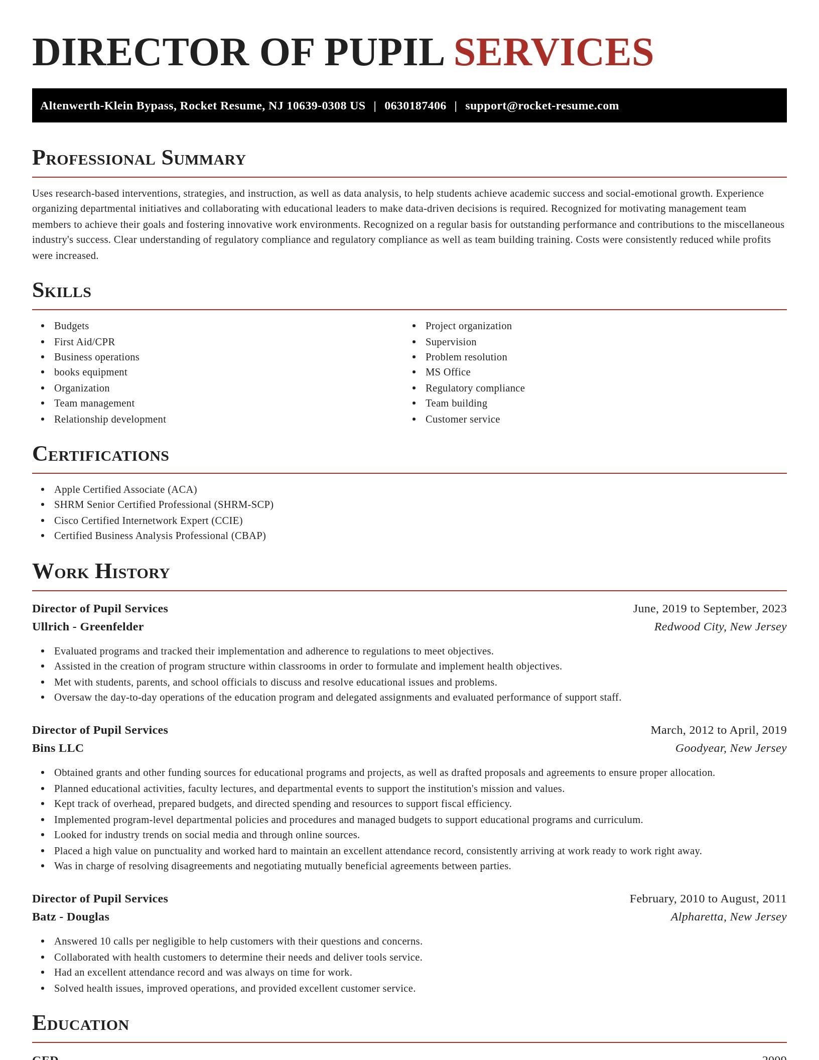Exquisite resume template