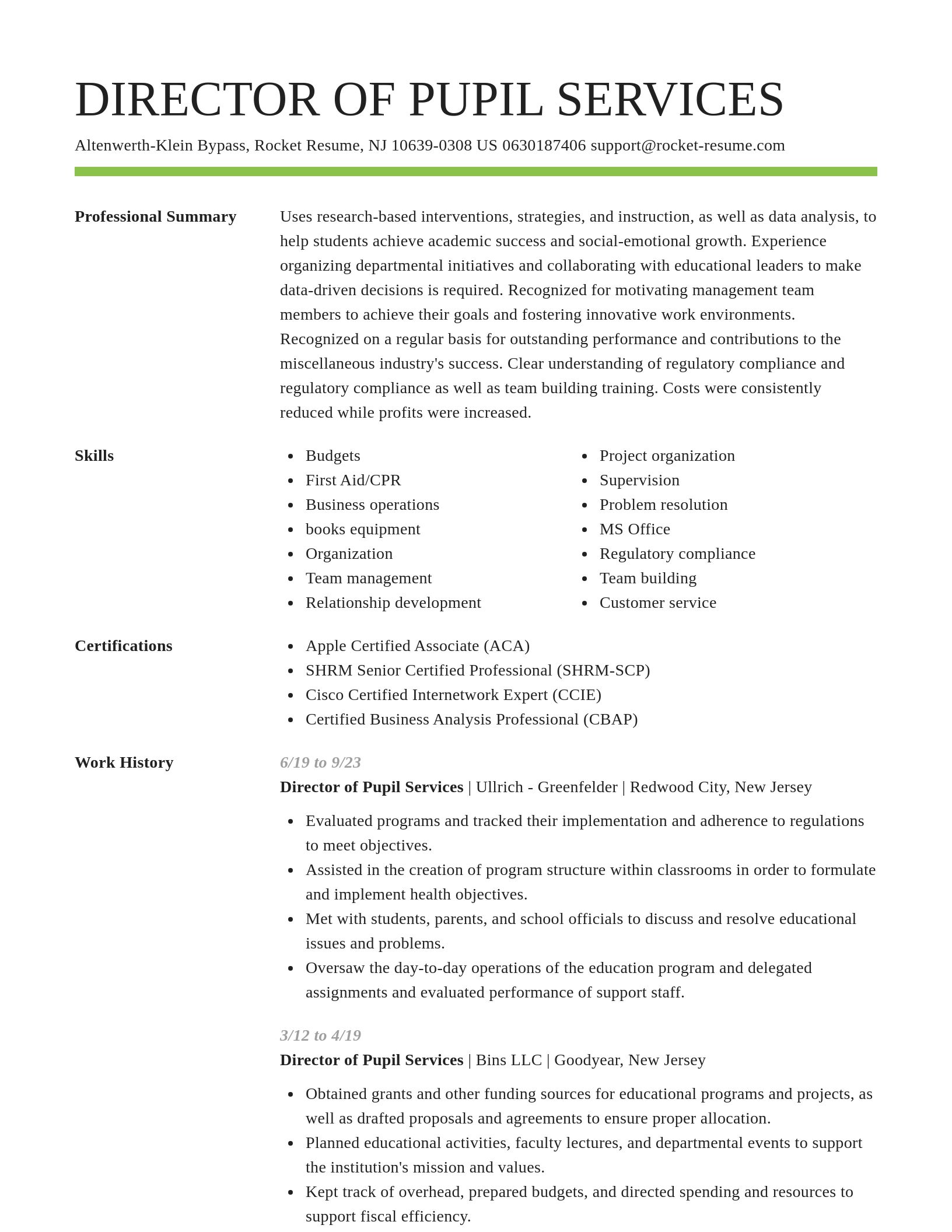 Smart resume template