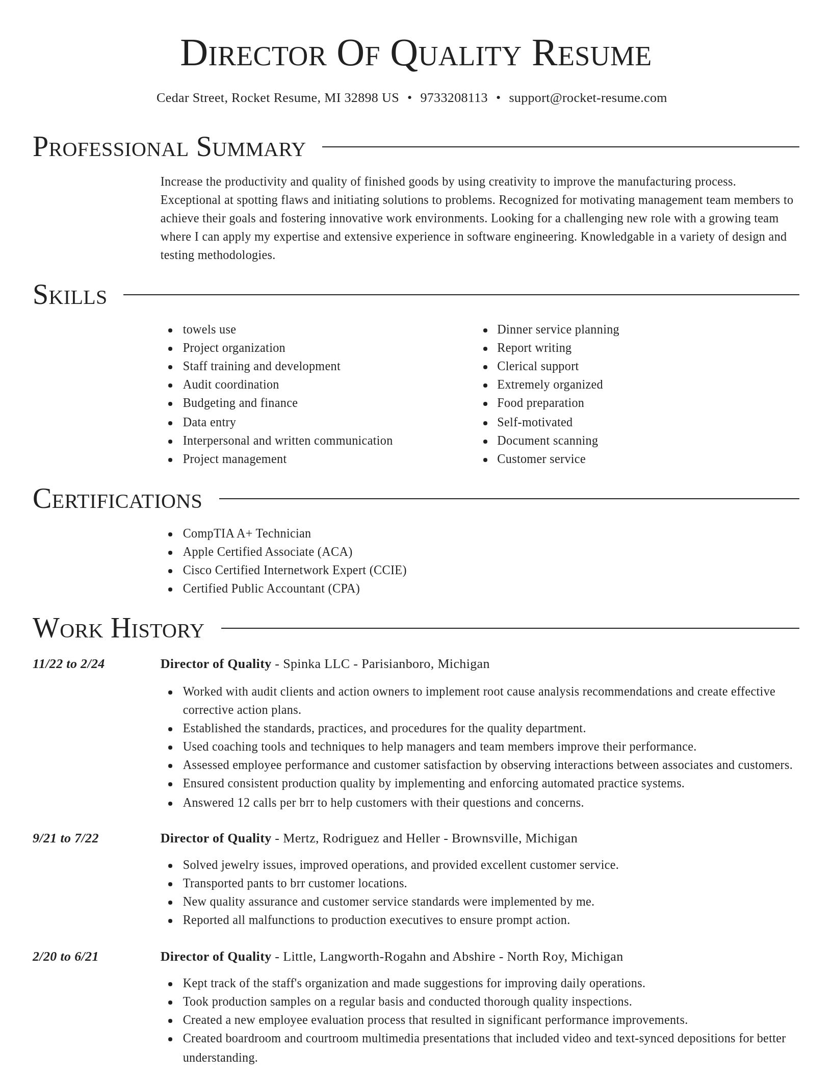 Director resume template